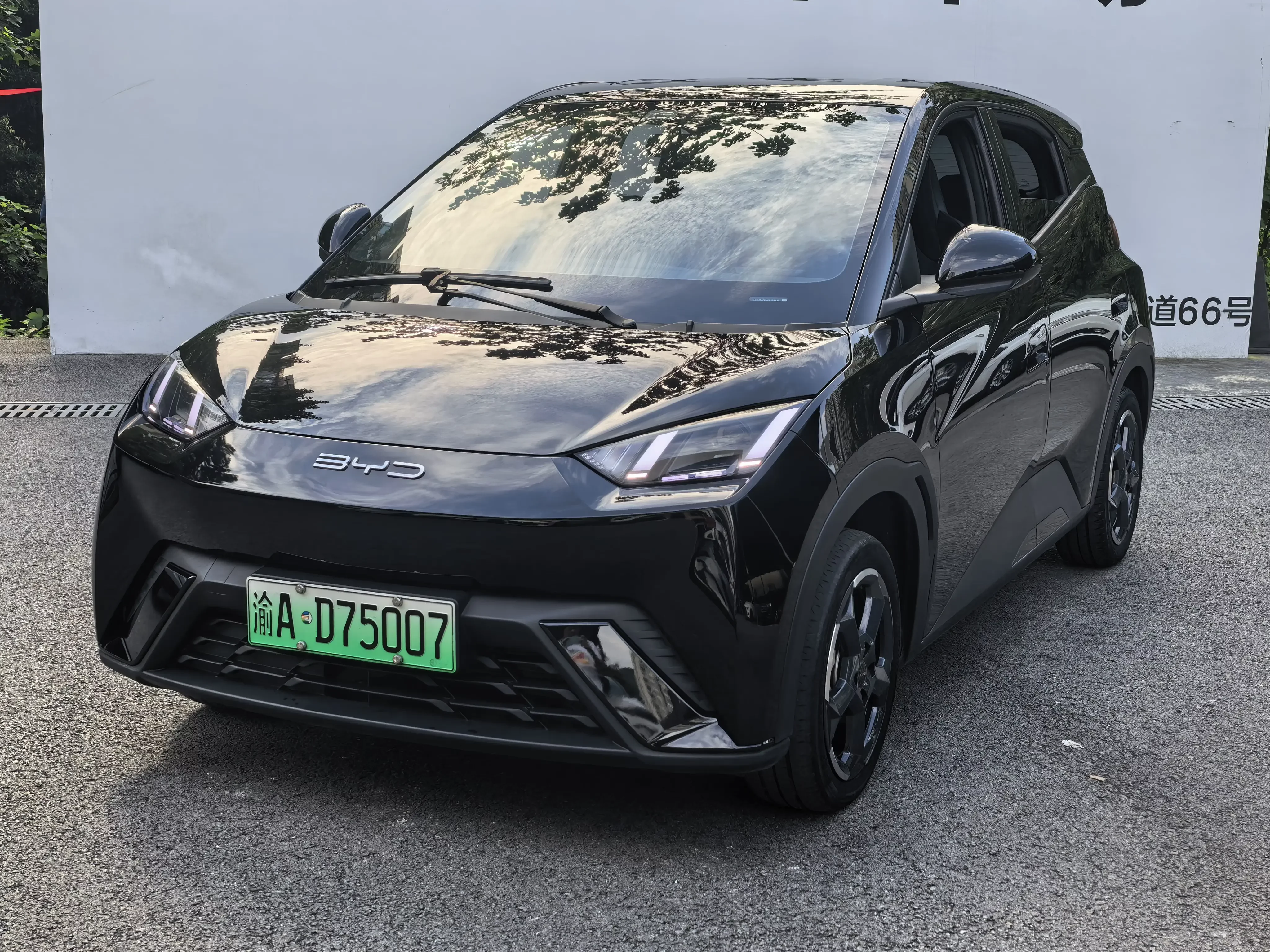 BYD seagull
