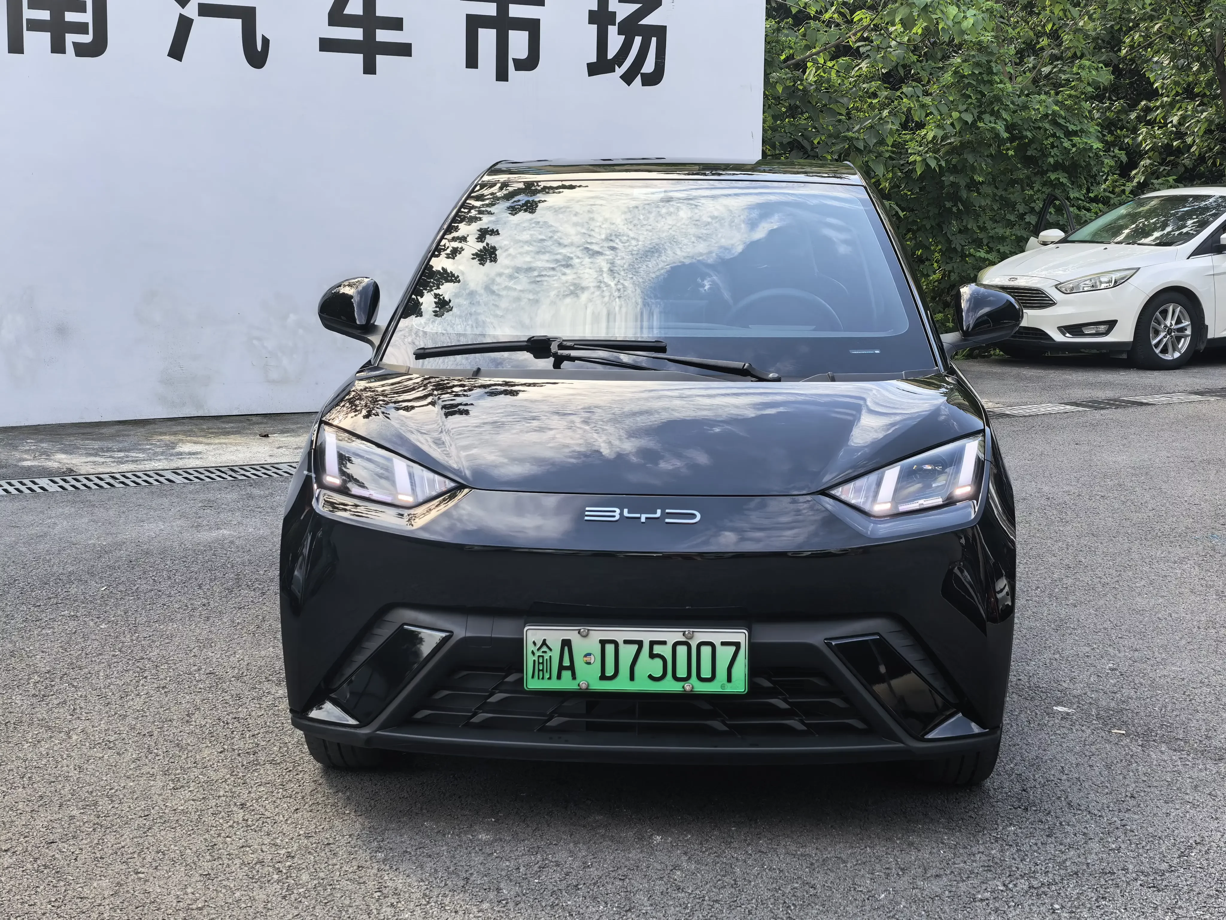 BYD seagull