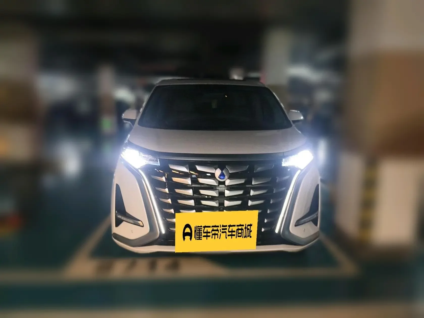 Denza D9 DM