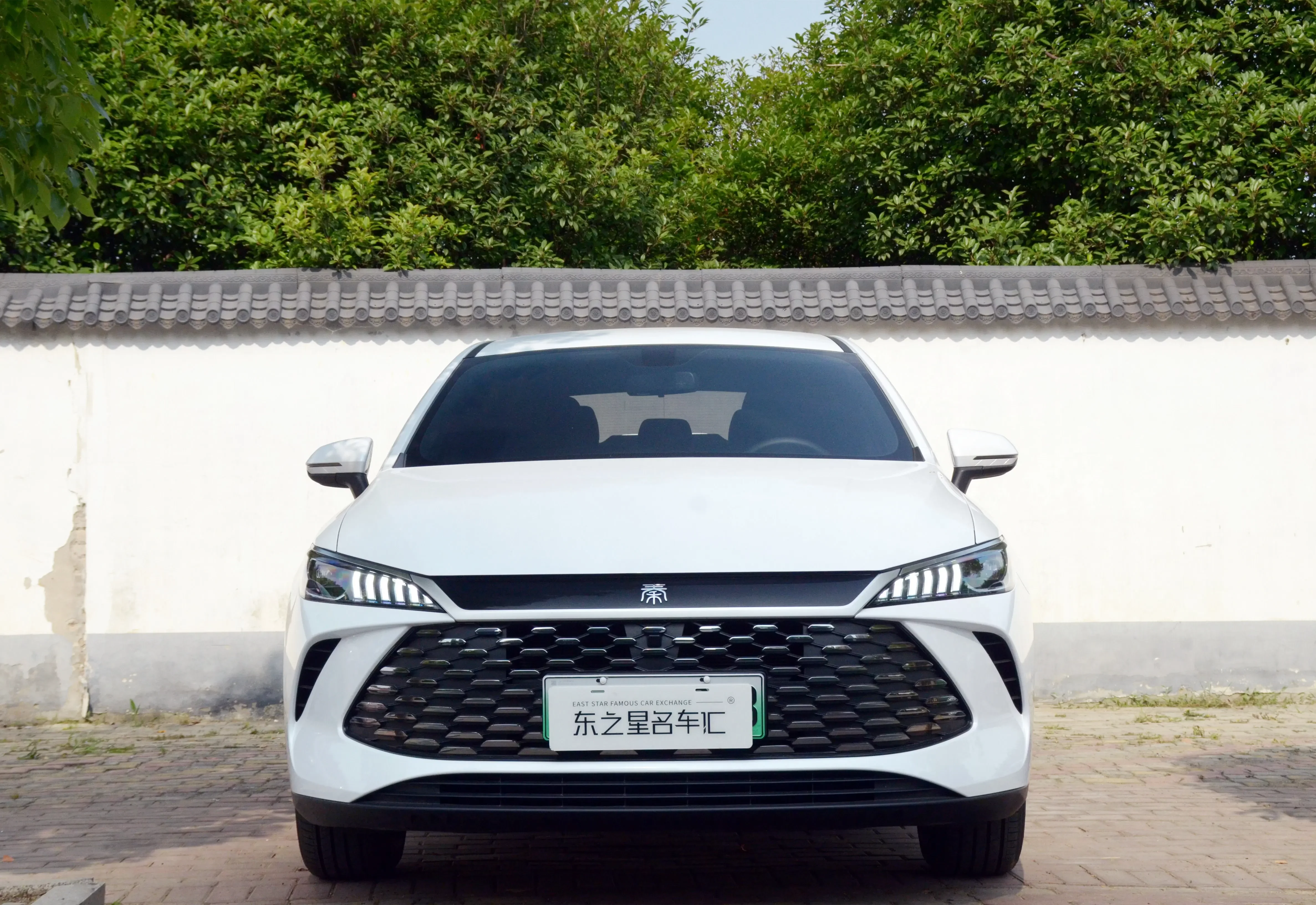 BYD Qin PLUS DM