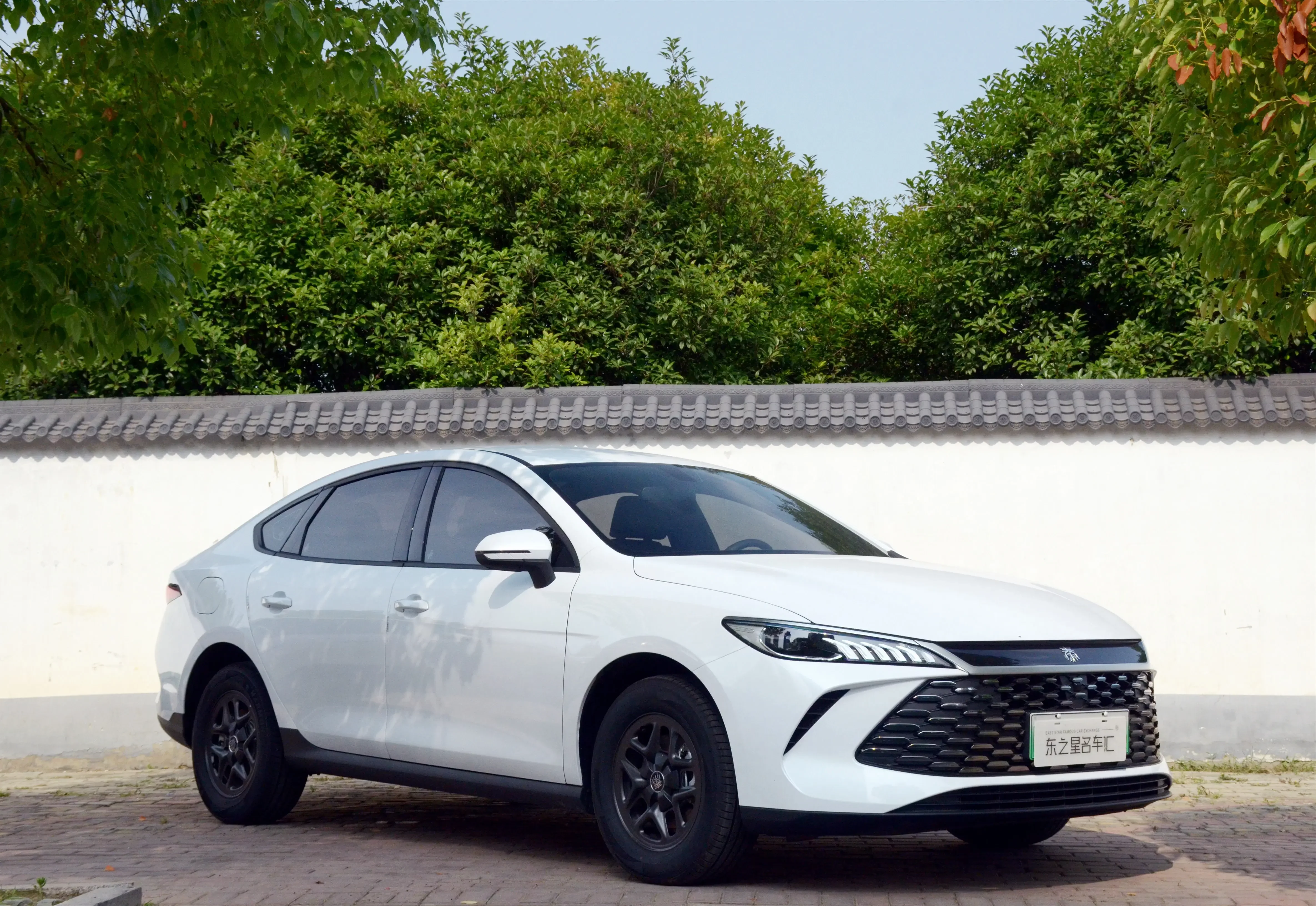 BYD Qin PLUS DM
