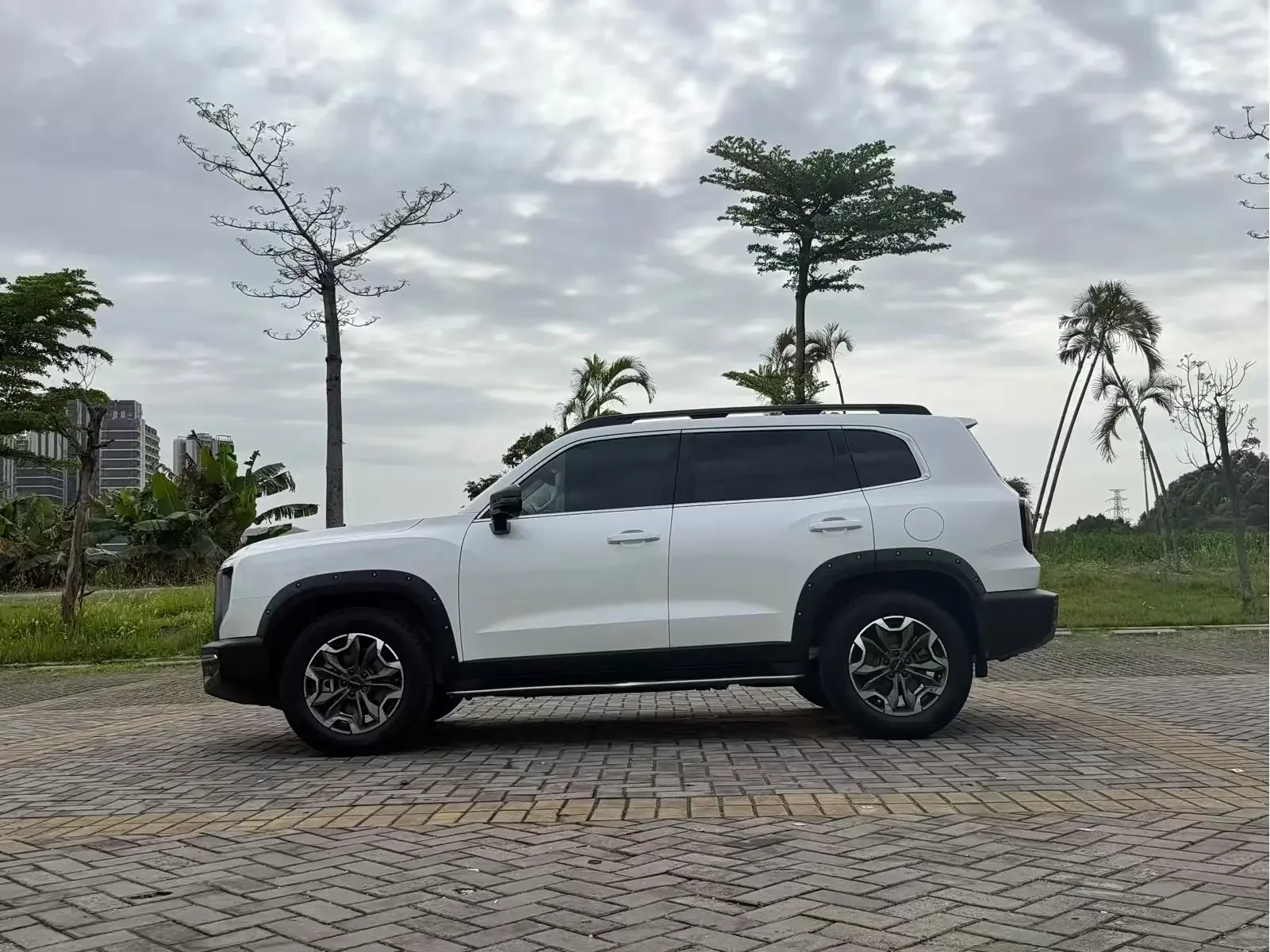 Haval Dargo