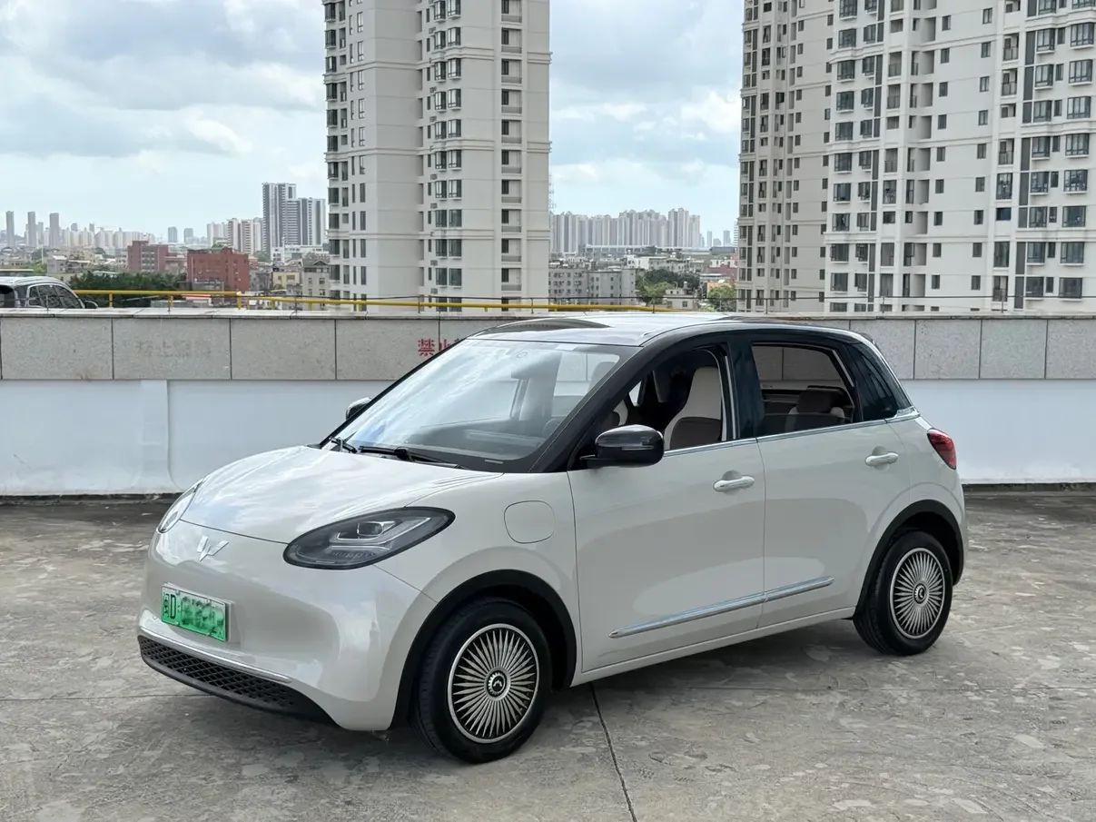 Wuling Bingo