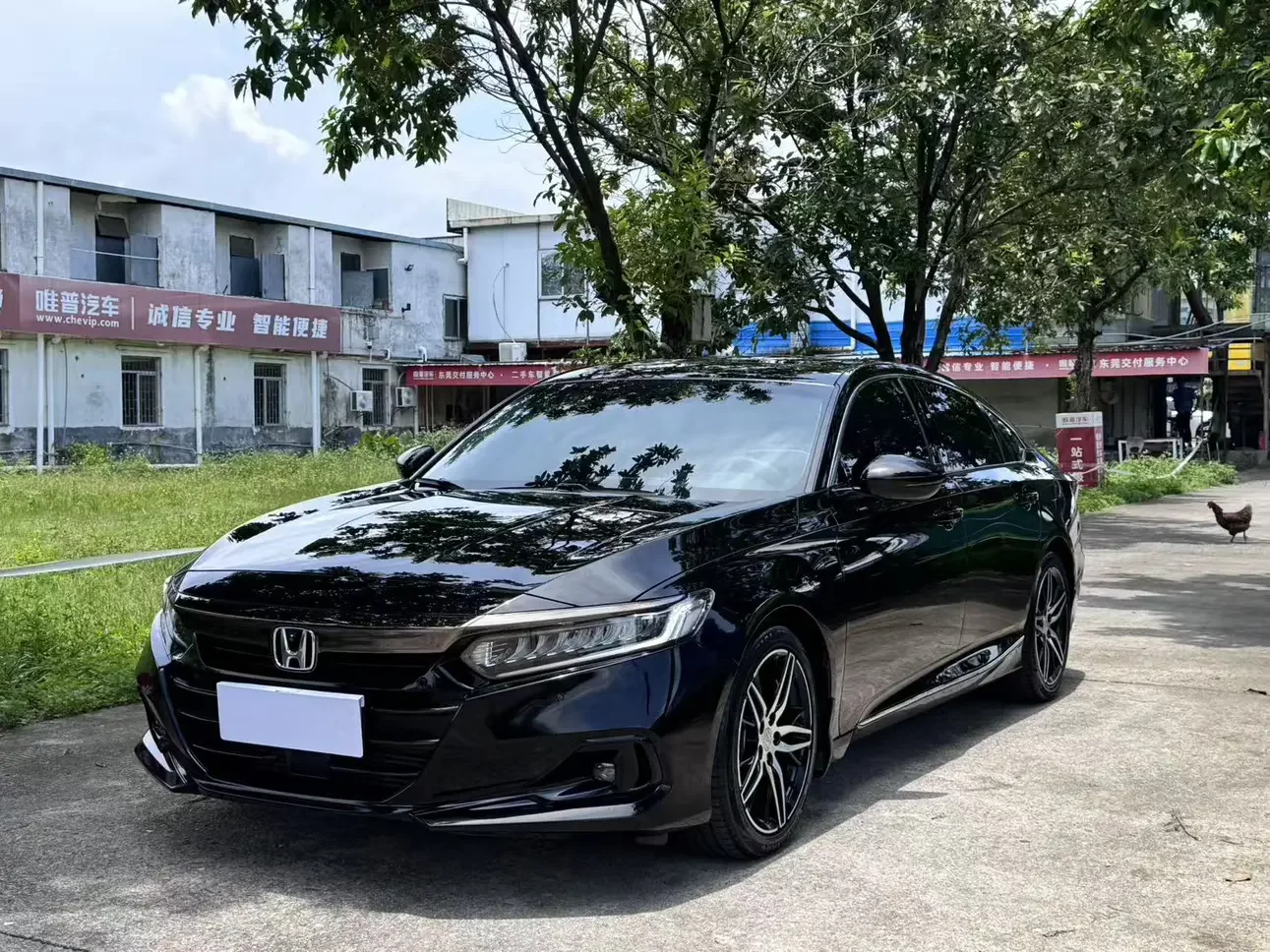 Honda Accord