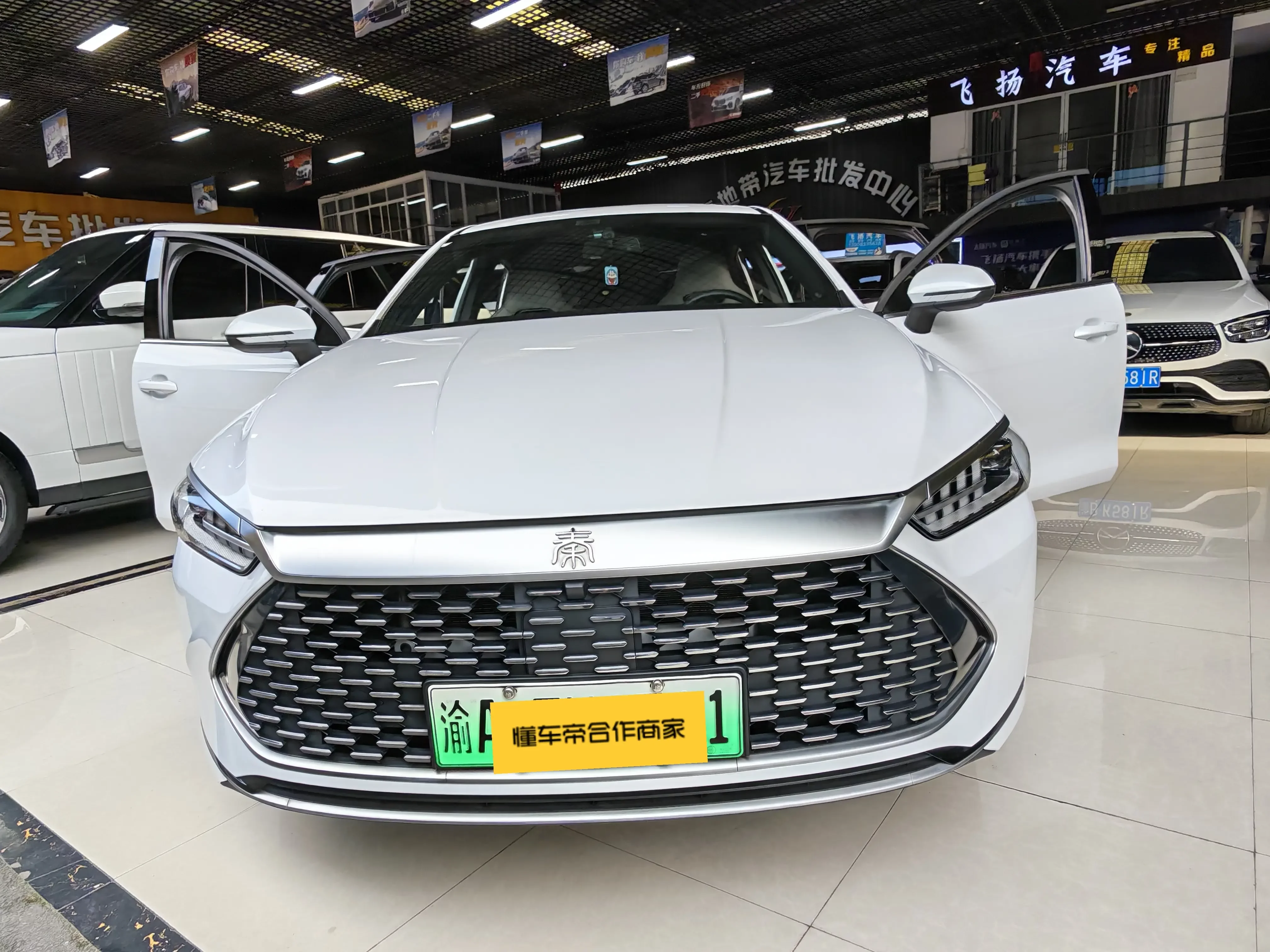BYD Qin PLUS DM