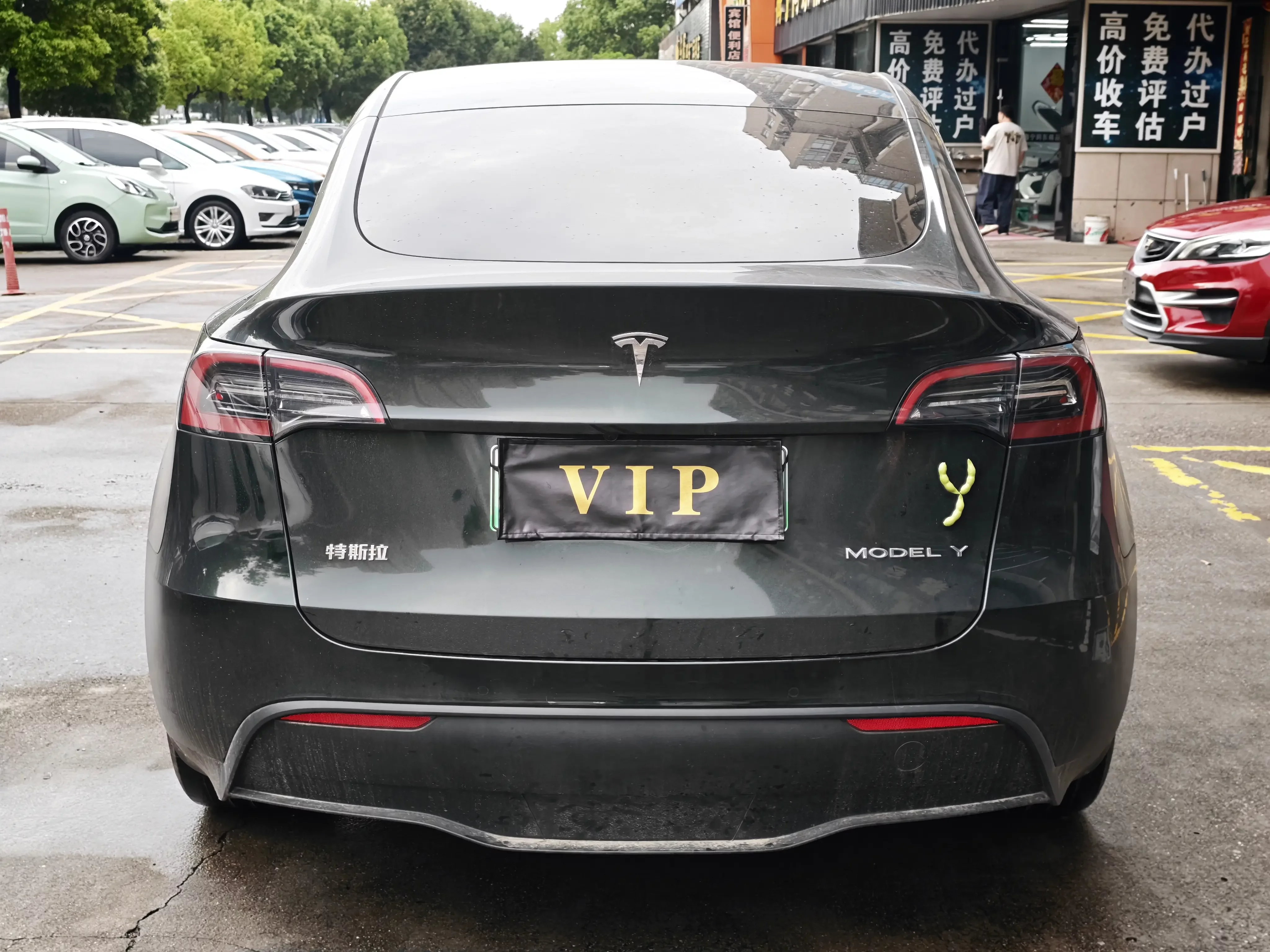 Tesla Model Y