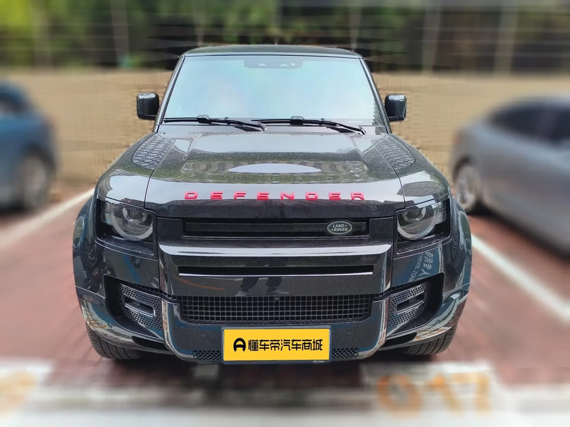 Land Rover guard