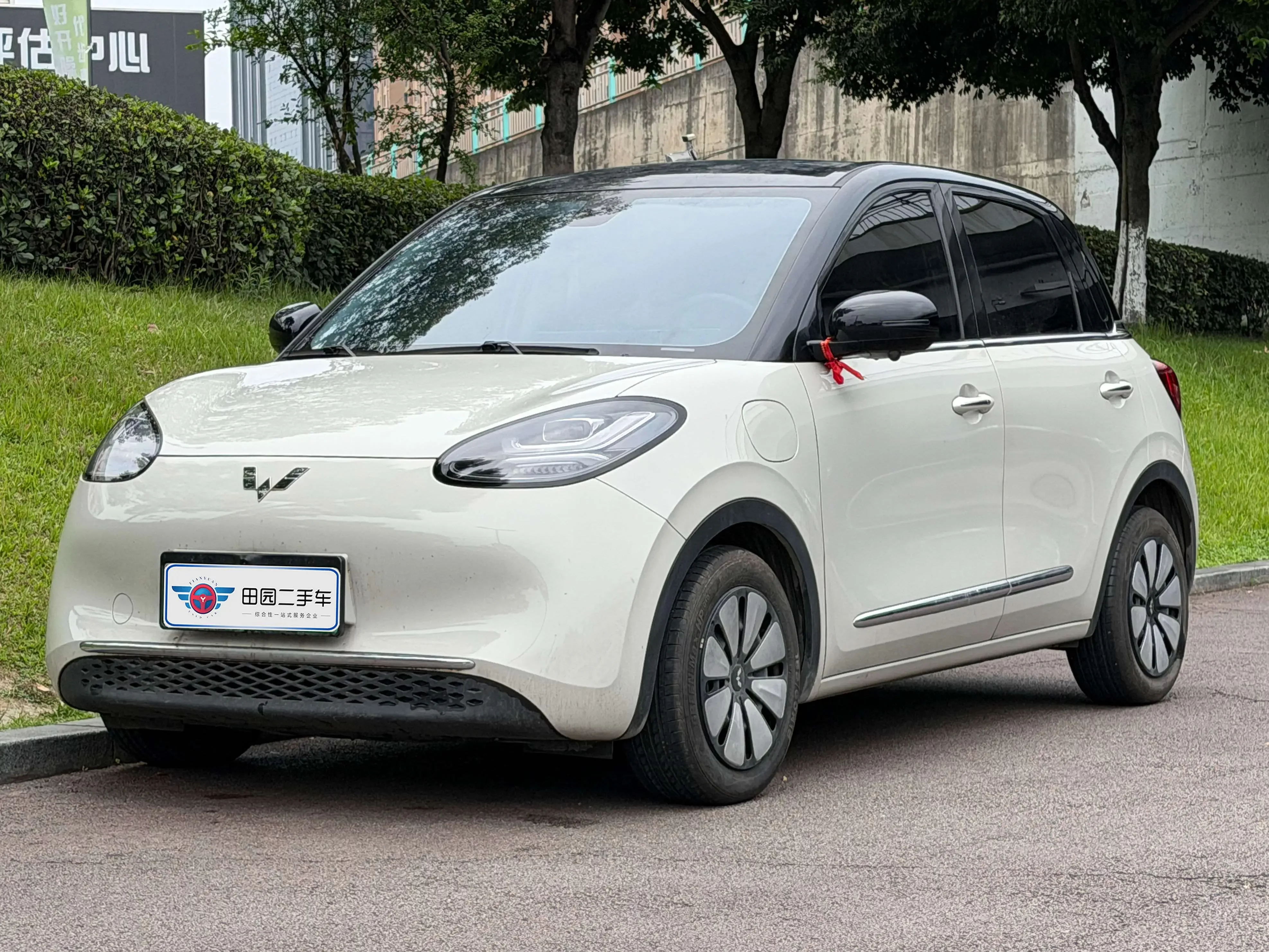 Wuling Bingo