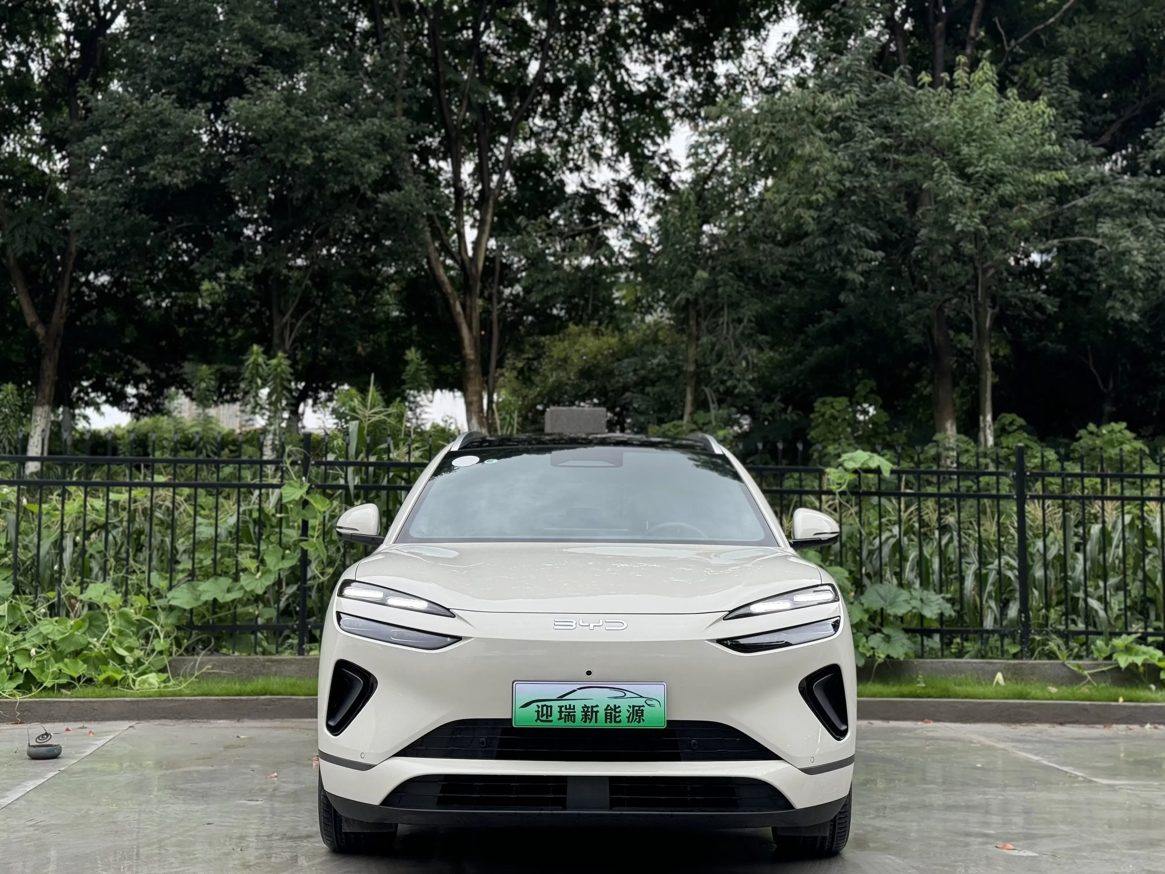 BYD Sea Lion 06DM