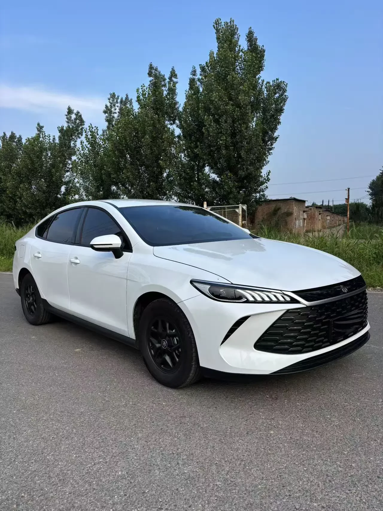 BYD Qin PLUS DM