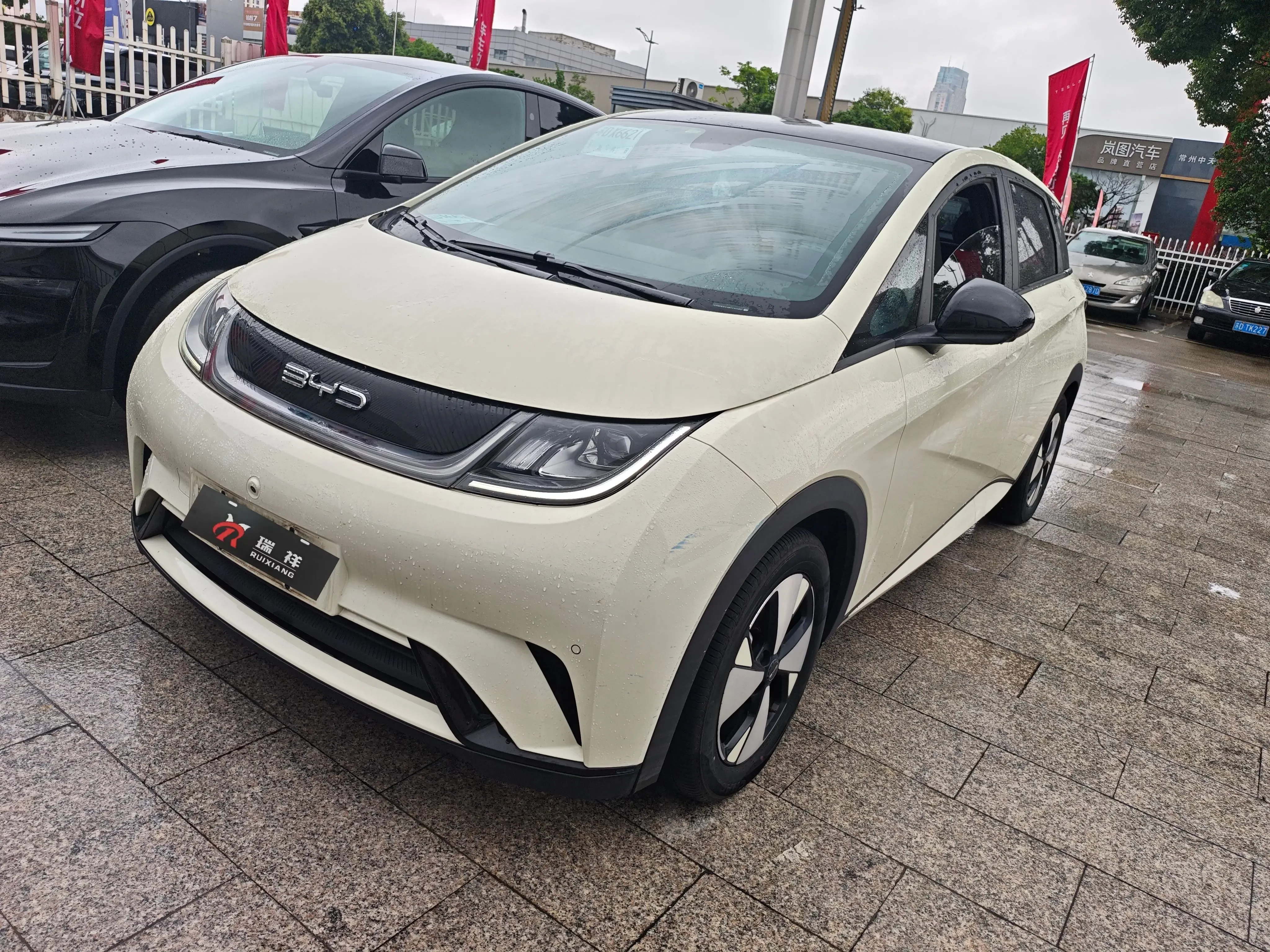 BYD dolphin