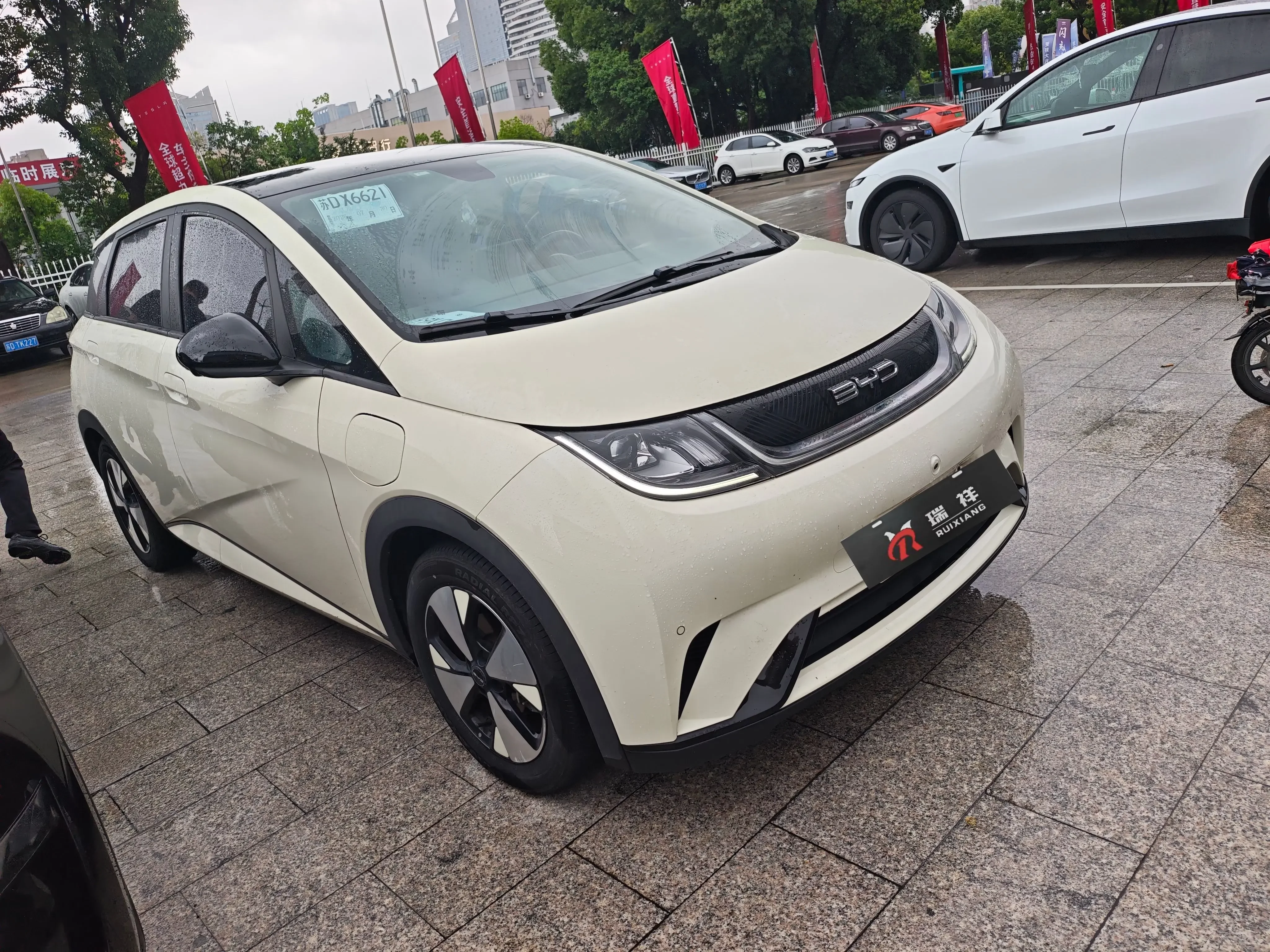 BYD dolphin