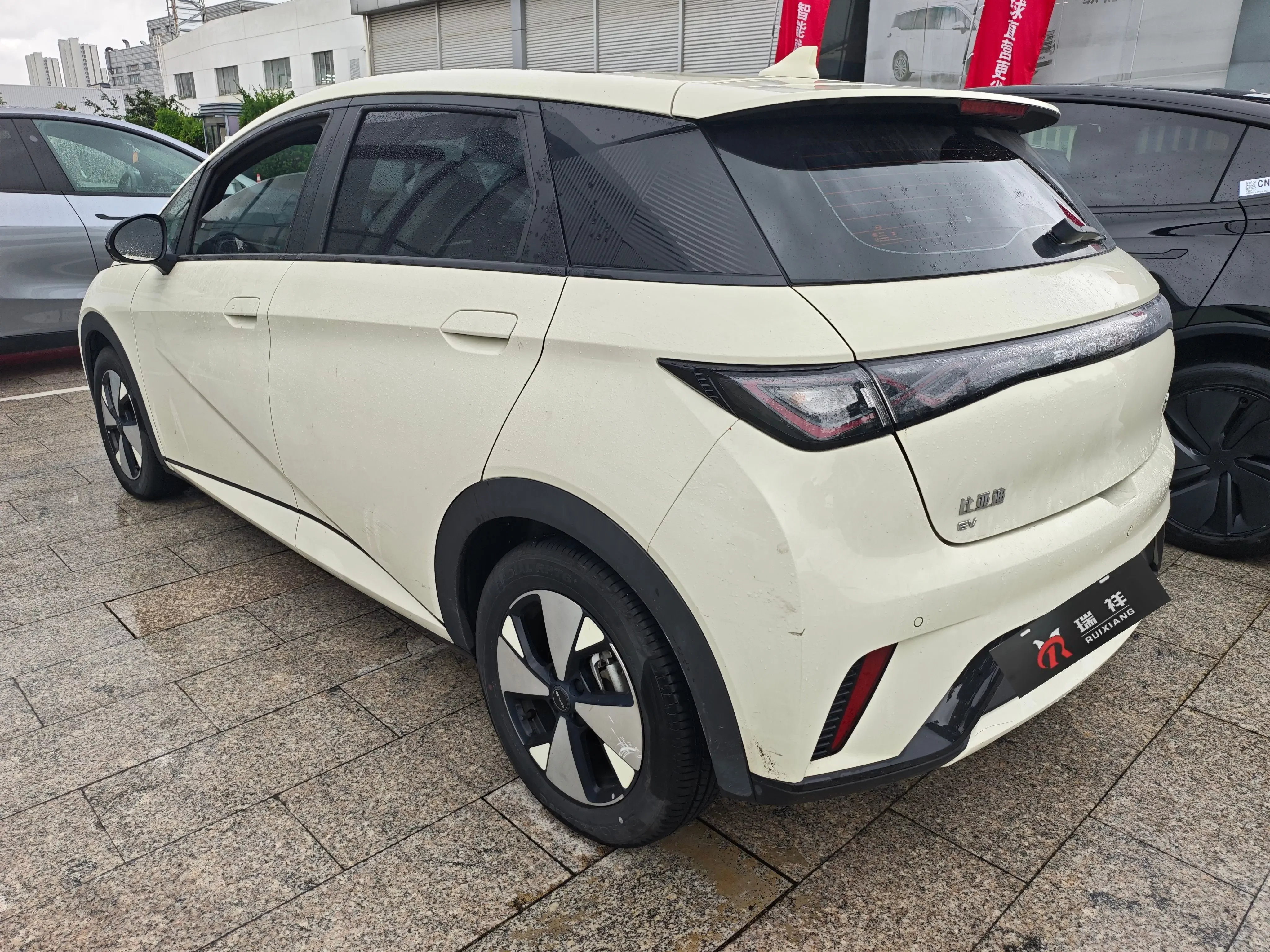 BYD dolphin