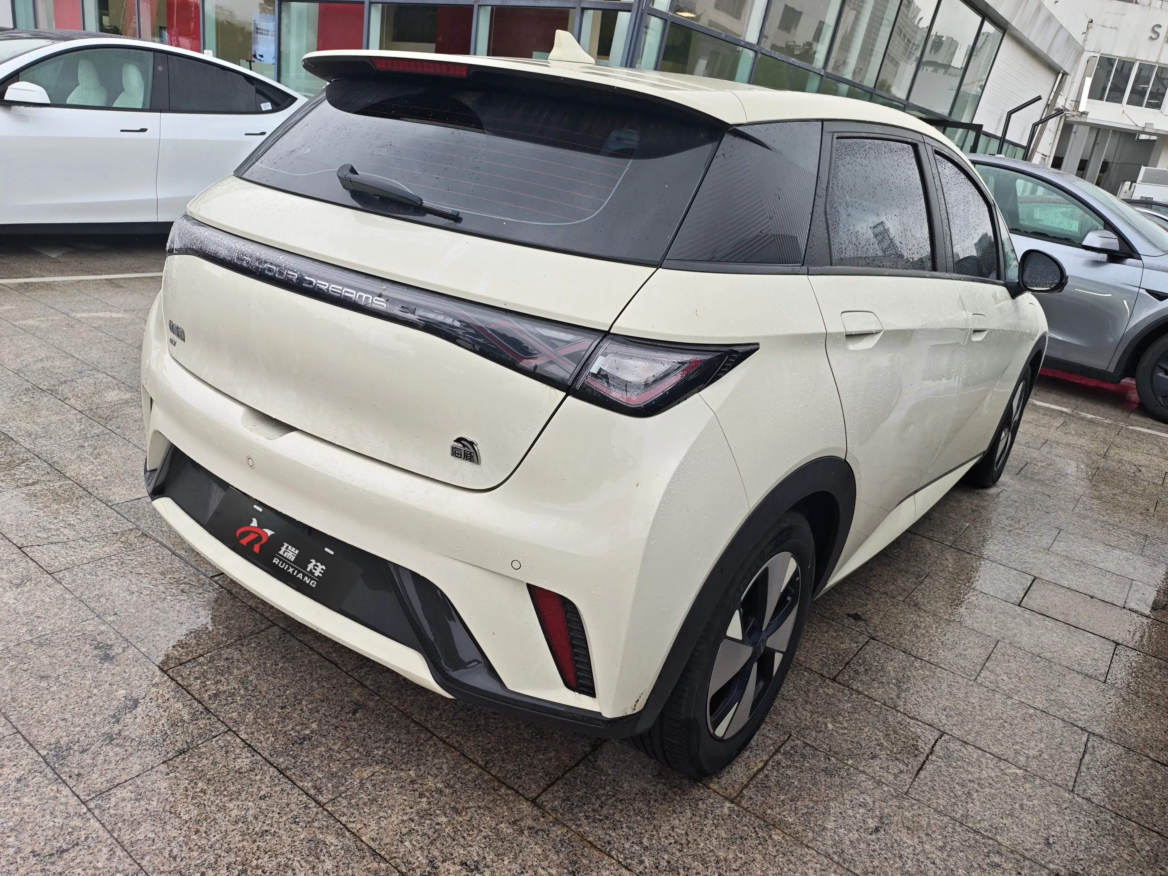 BYD dolphin