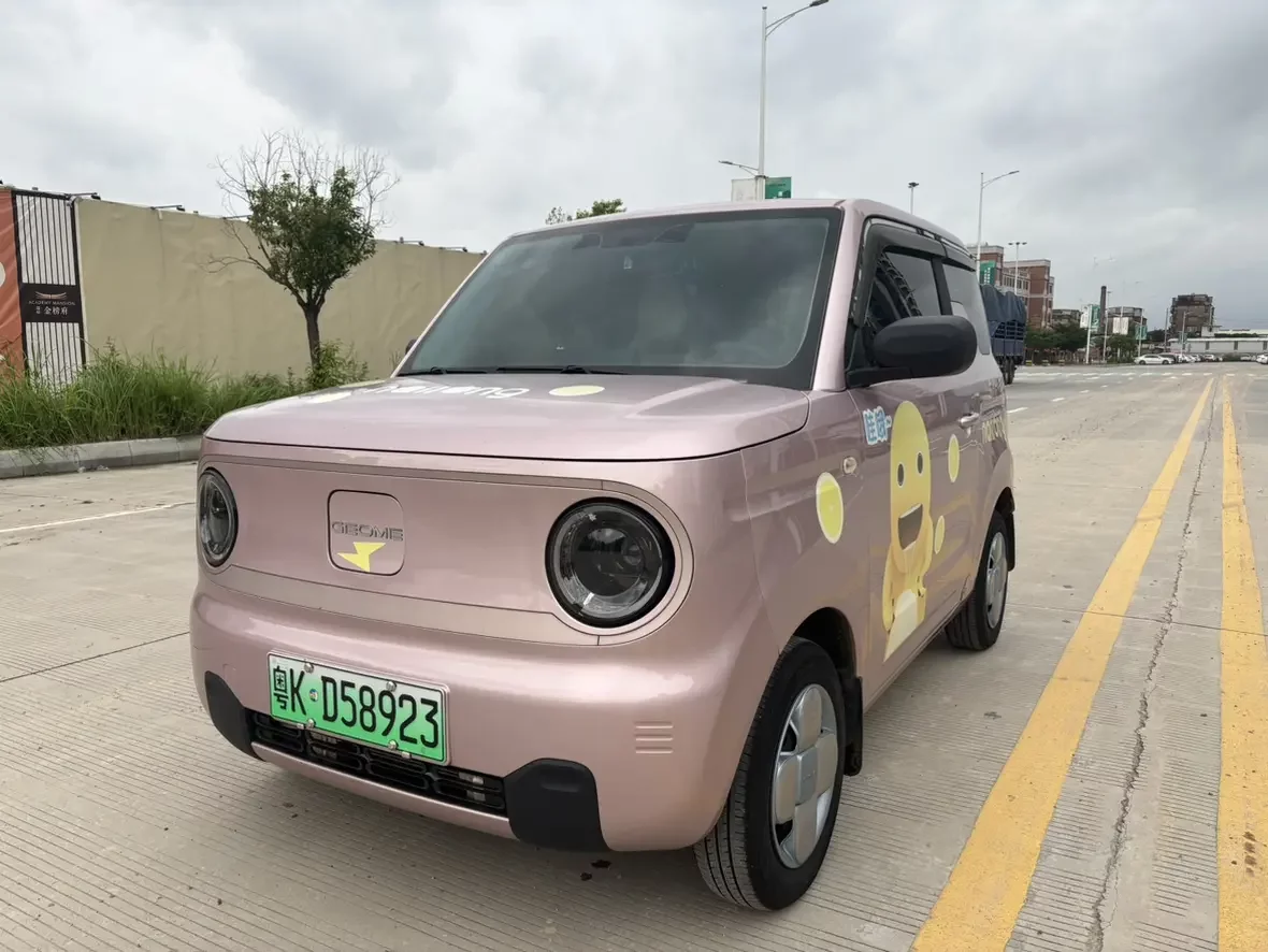 Geely panda