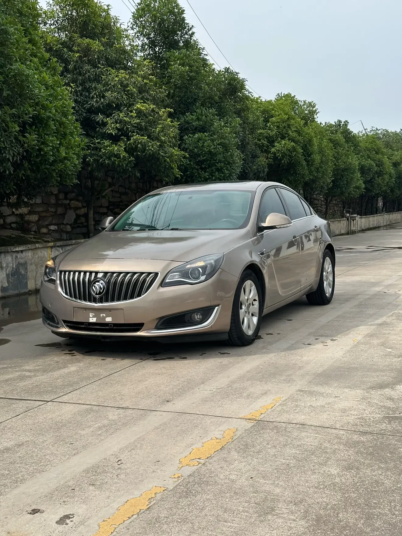 Buick Majesty