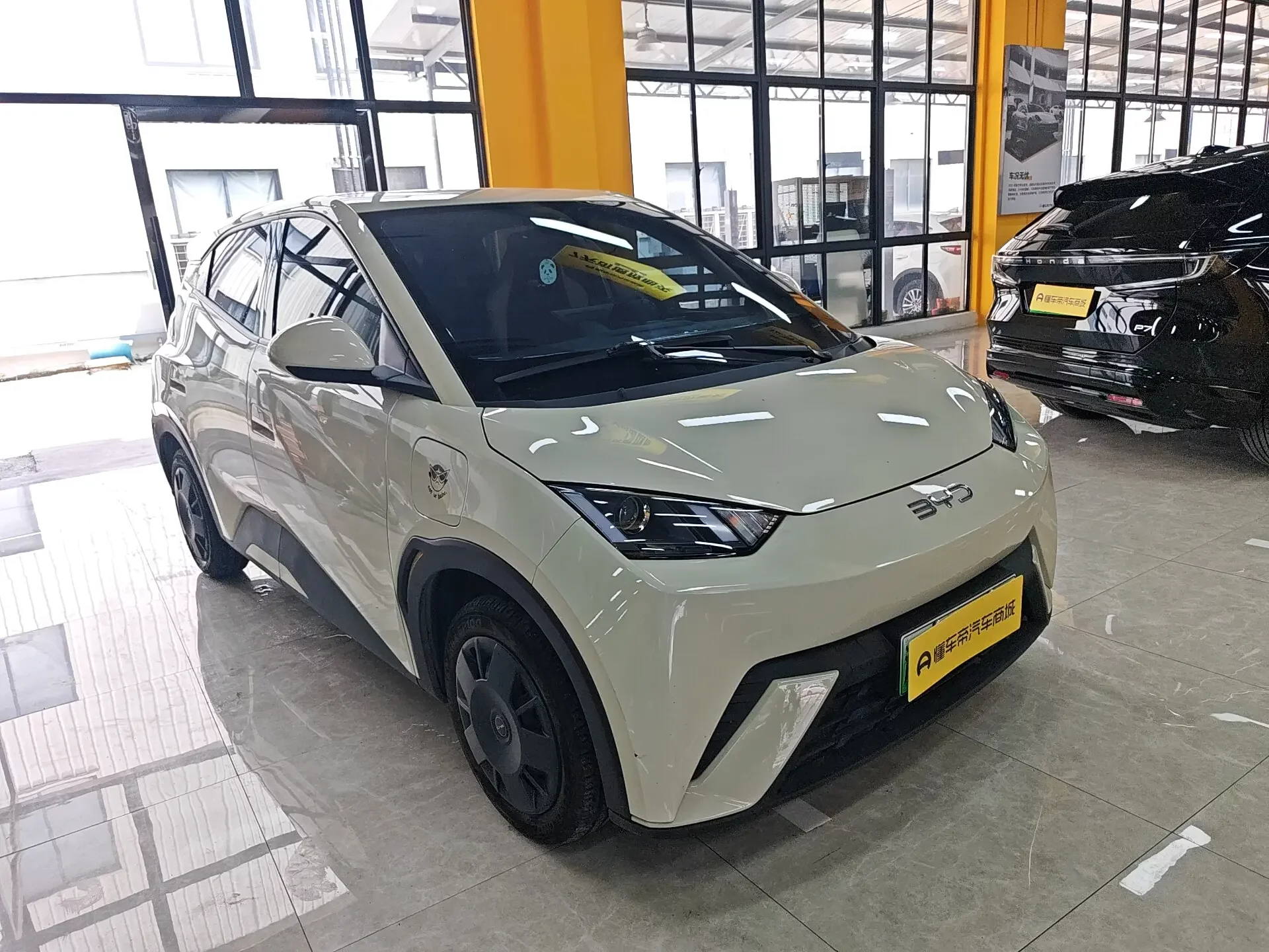 BYD seagull