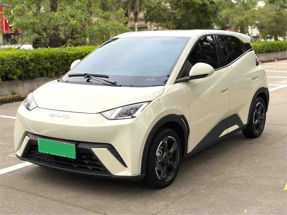 BYD seagull