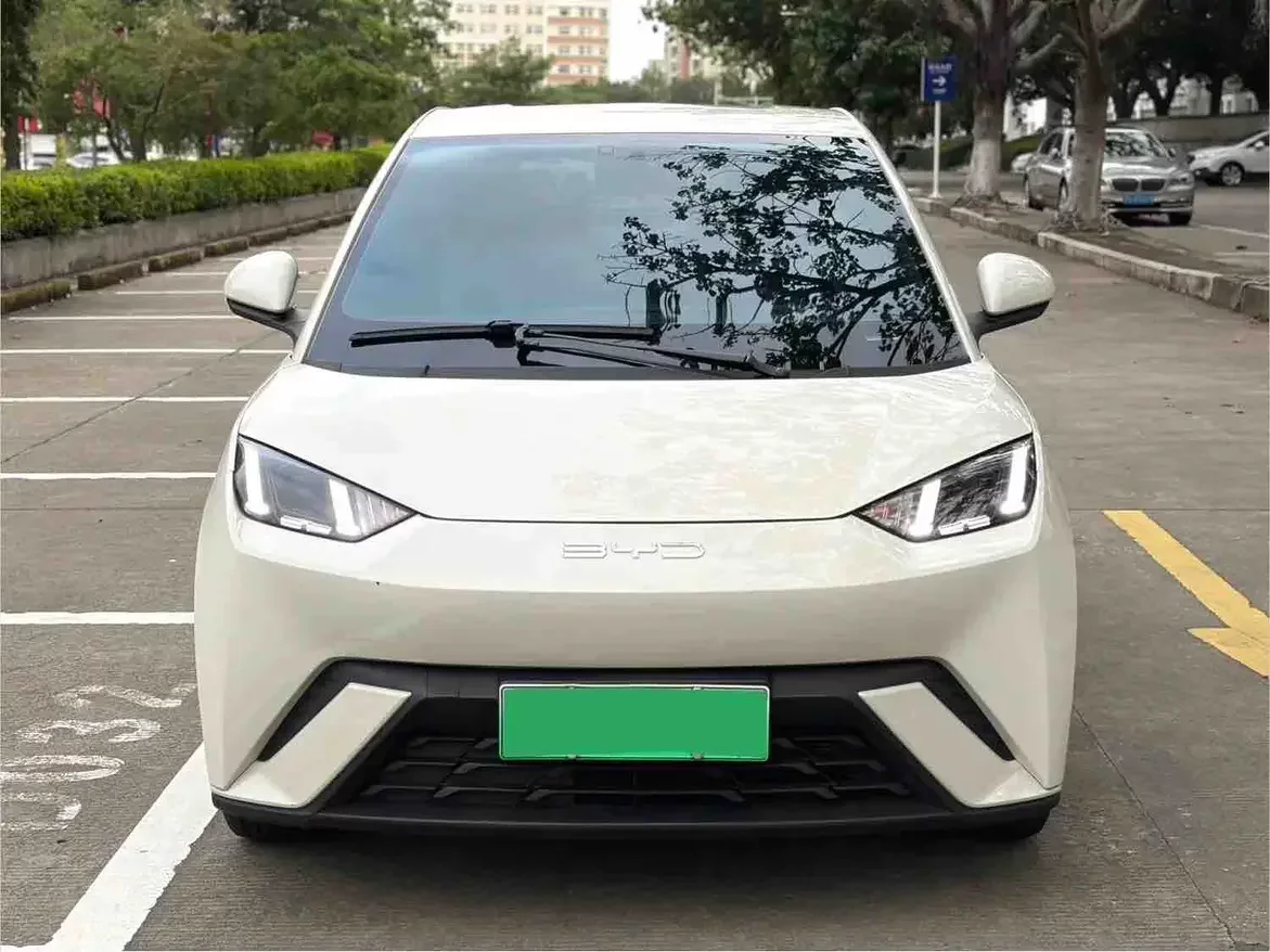 BYD seagull