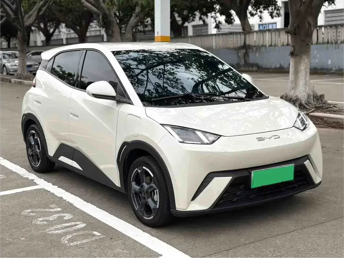 BYD seagull