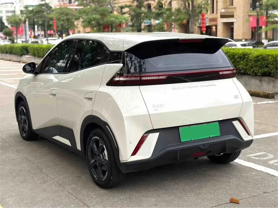 BYD seagull