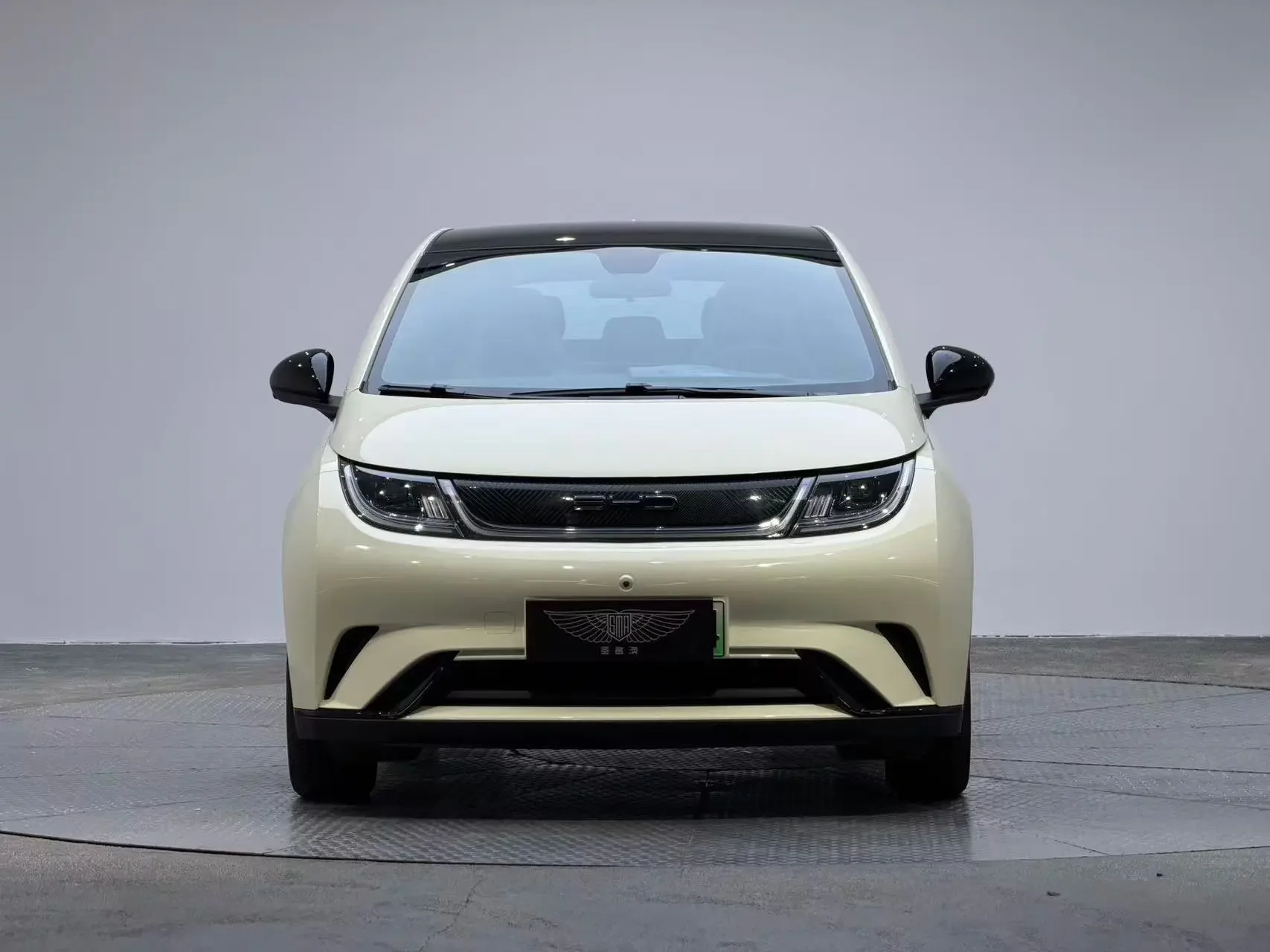 BYD dolphin