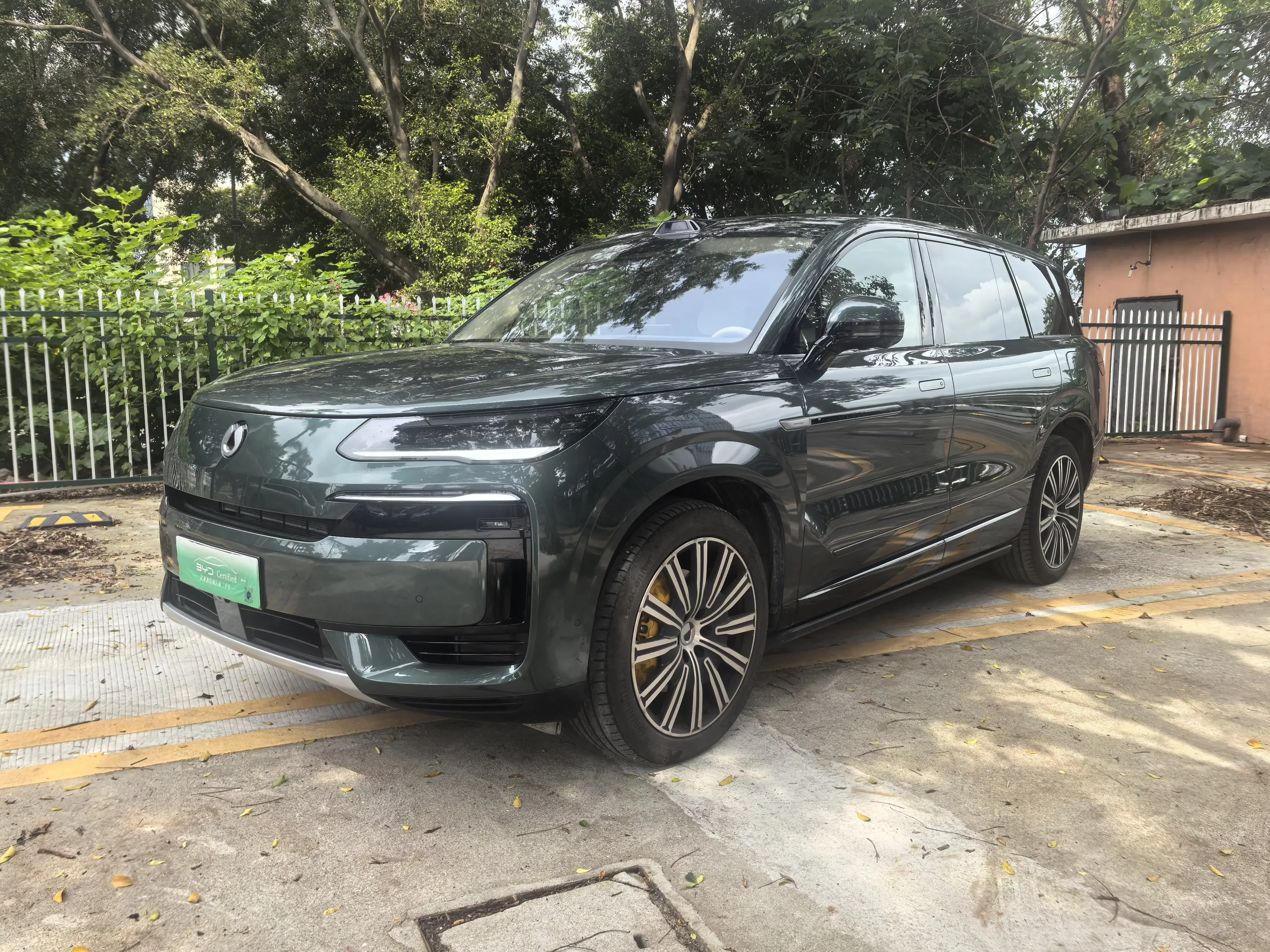 Denza Tengzhong N9 DM