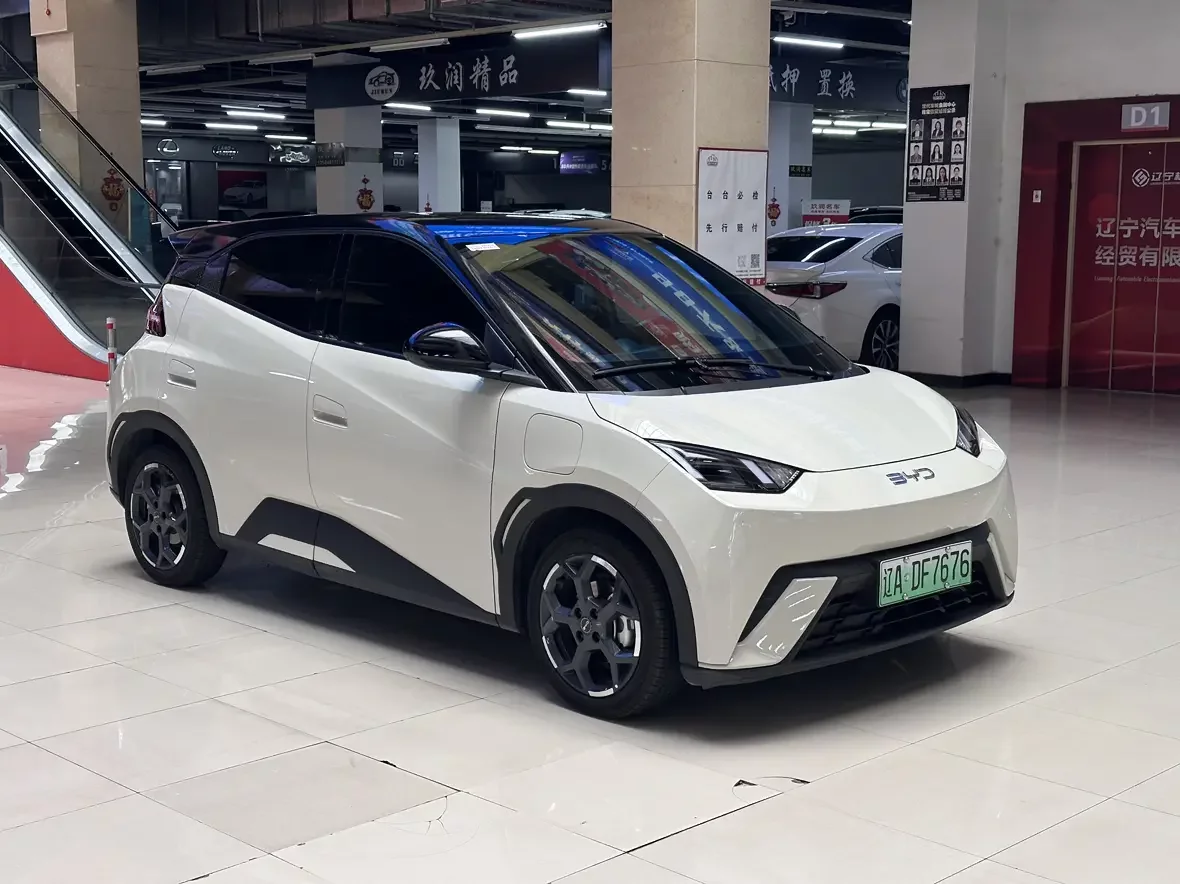BYD seagull