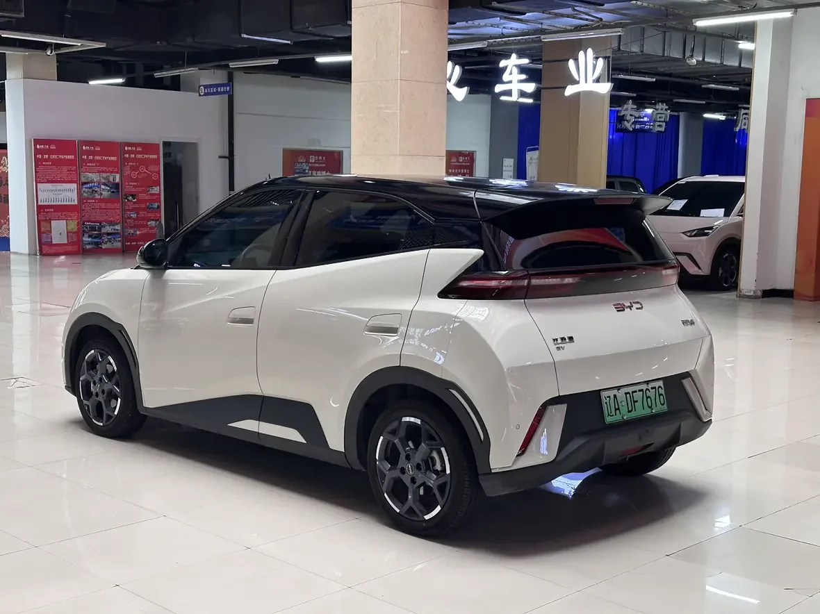 BYD seagull