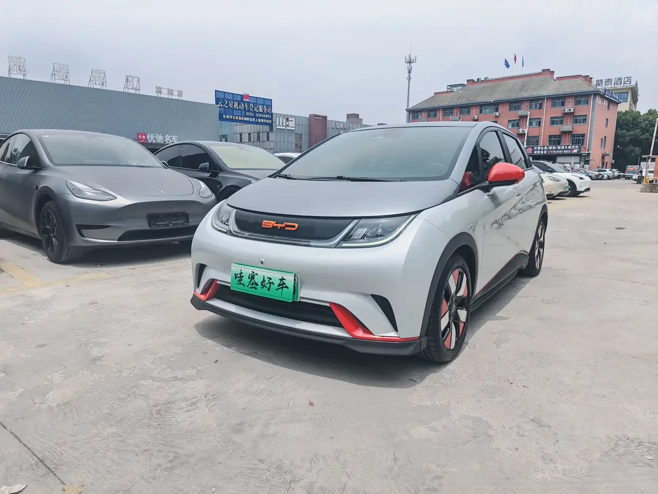 BYD dolphin