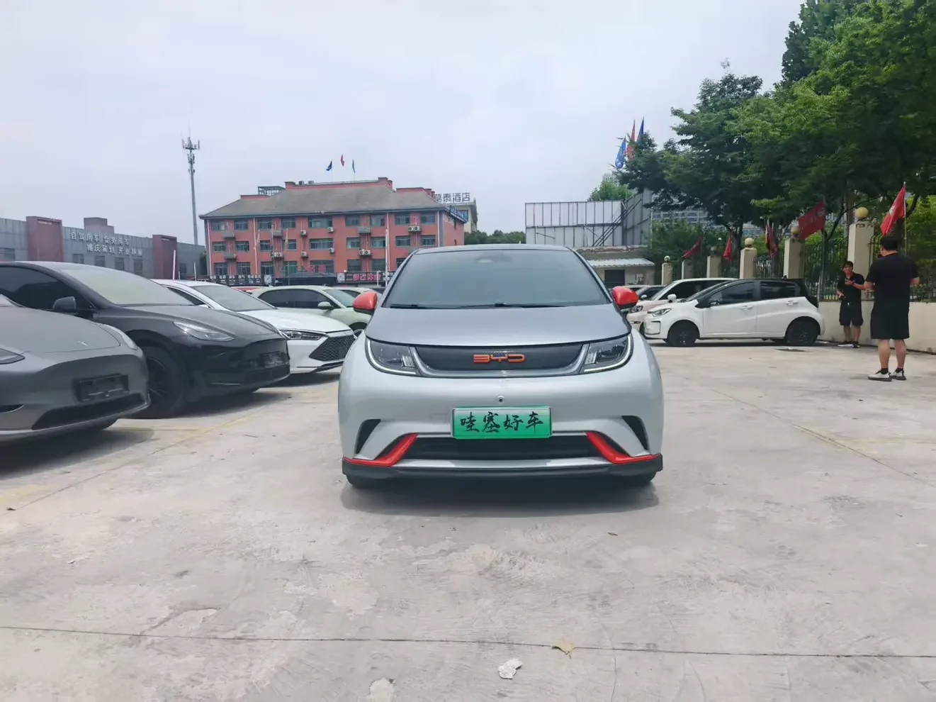BYD dolphin