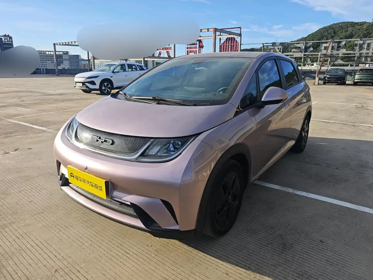 BYD dolphin