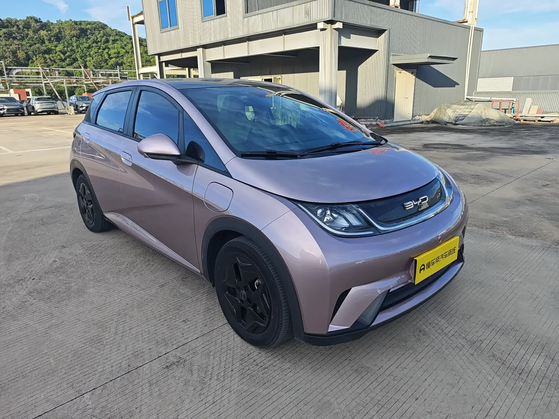 BYD dolphin