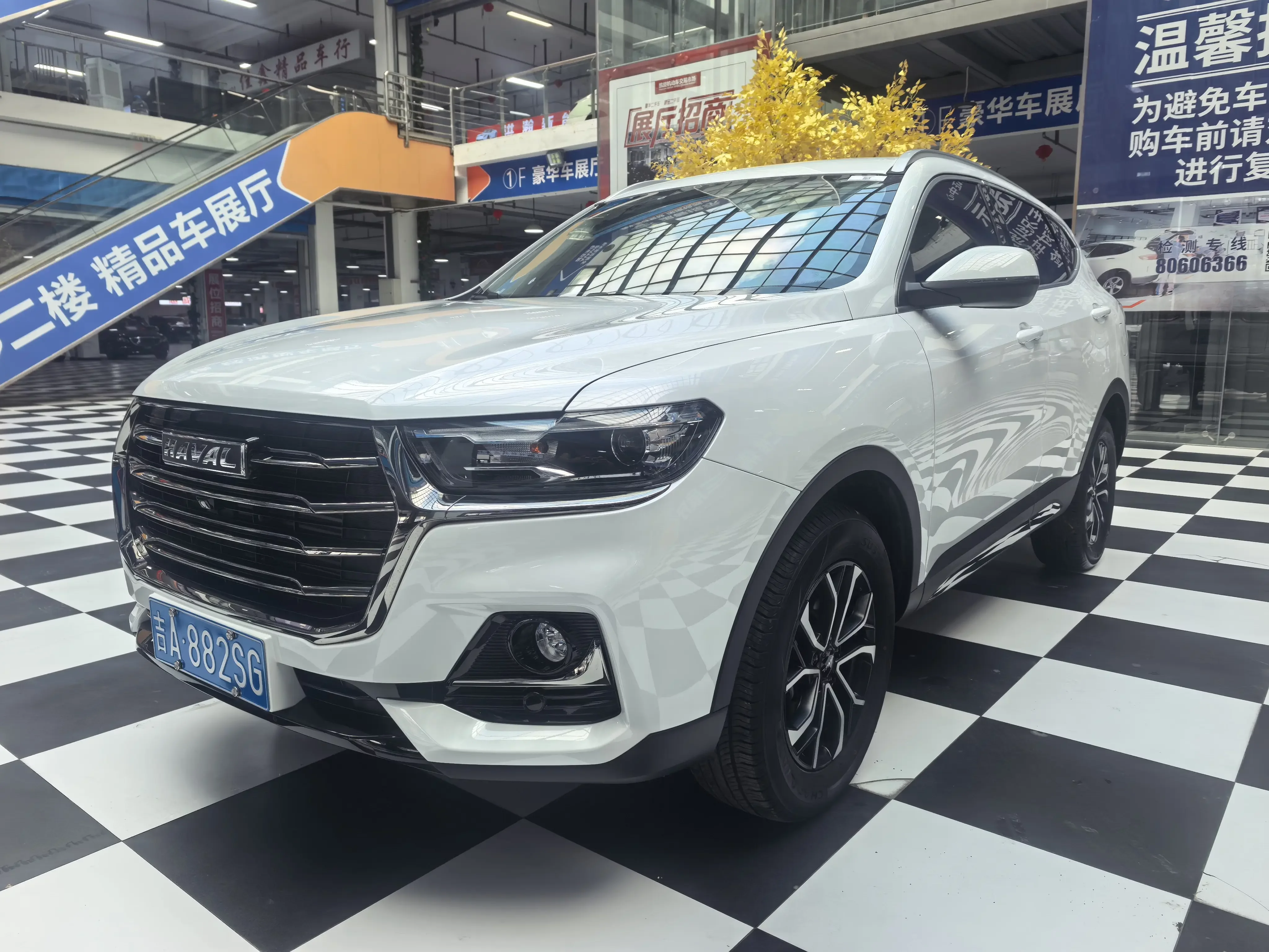 Haval H6