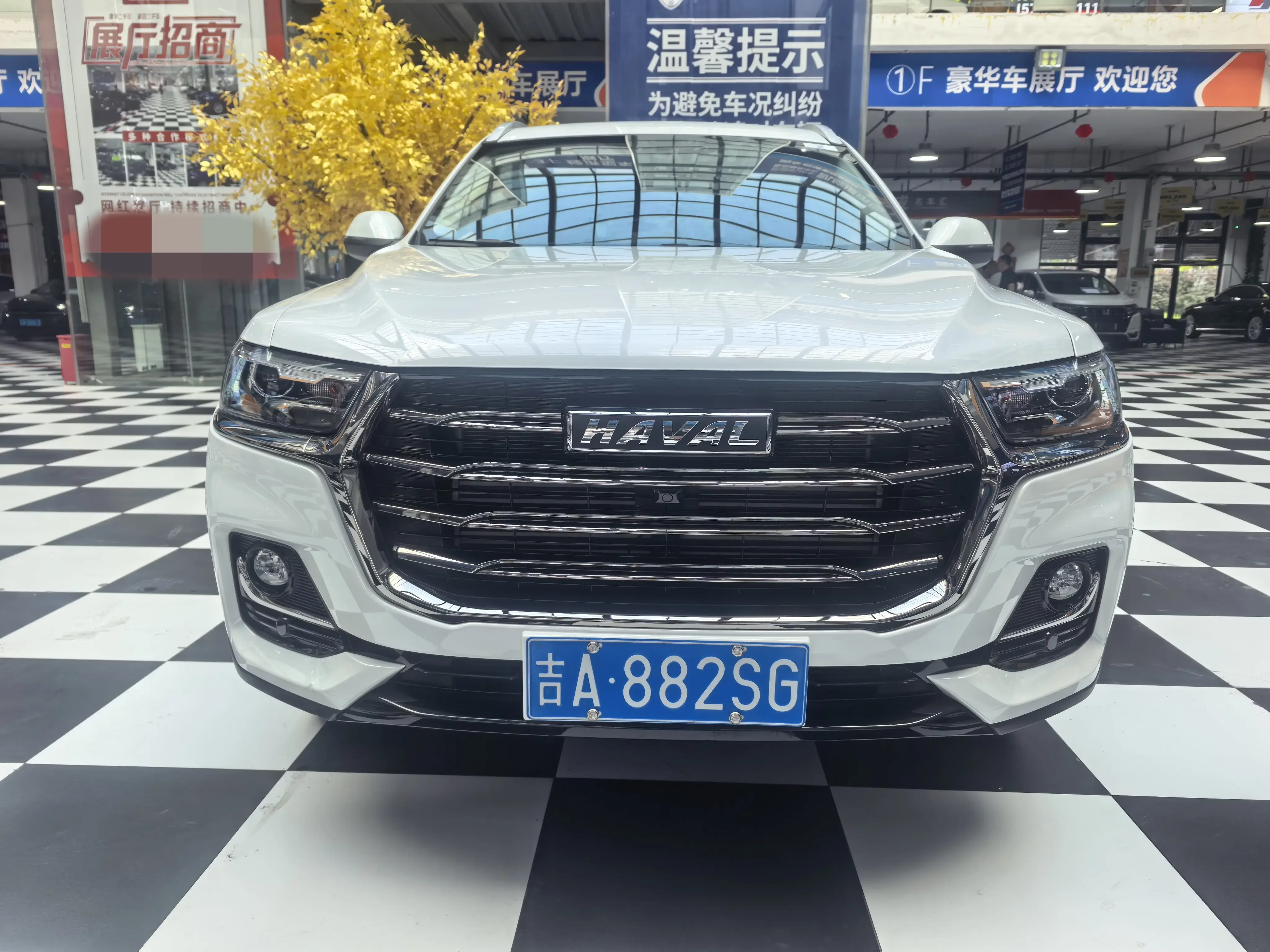Haval H6