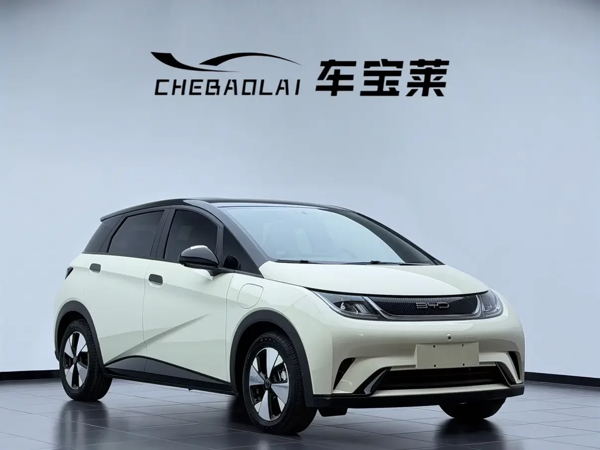 BYD dolphin