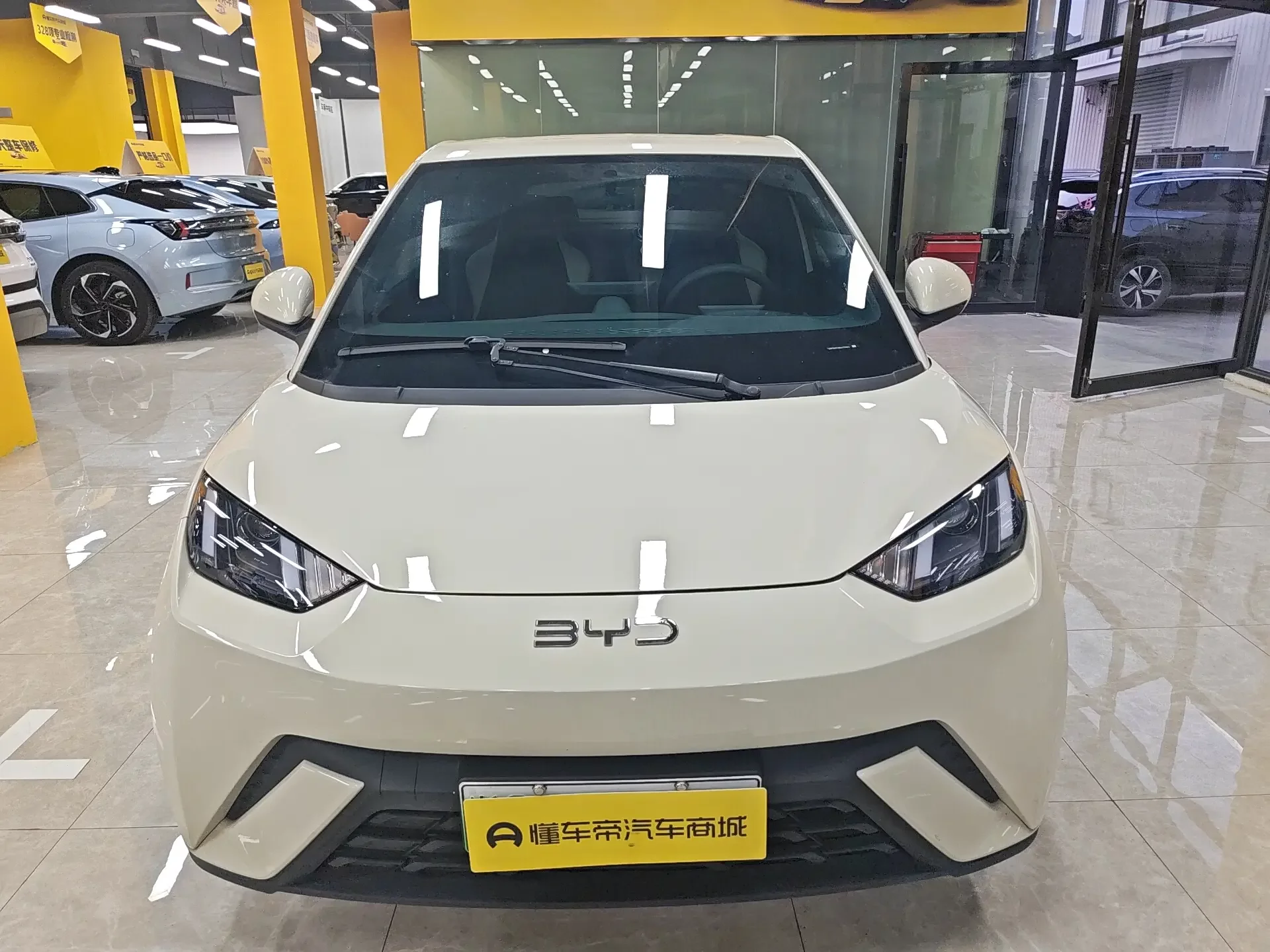 BYD seagull