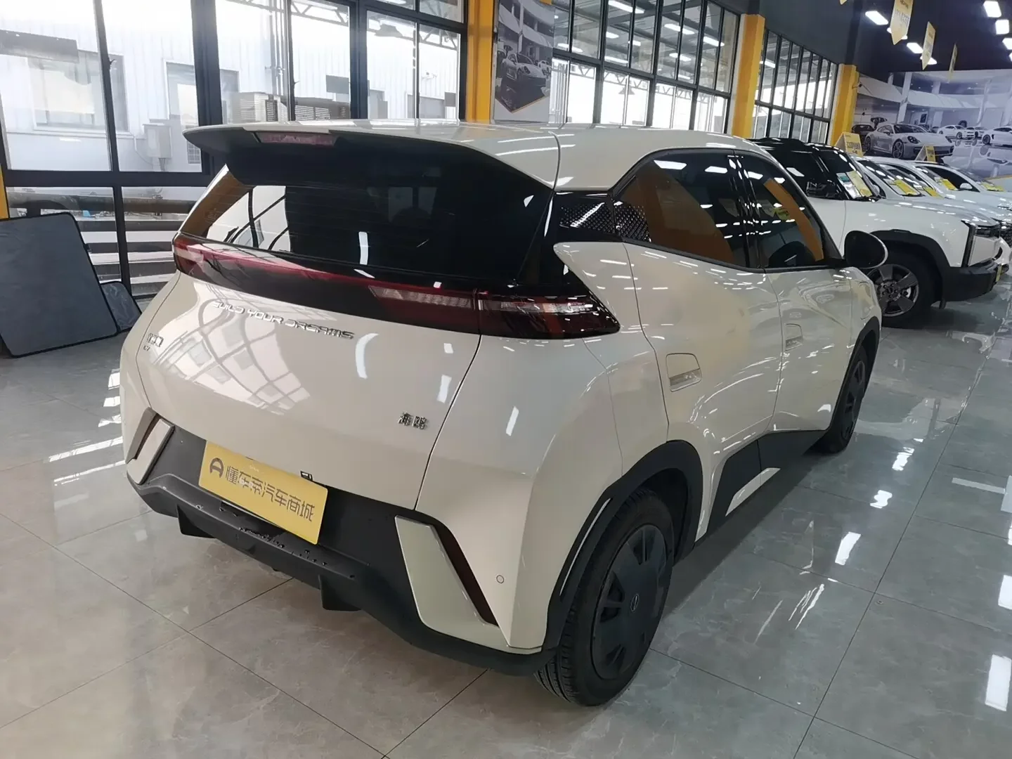 BYD seagull