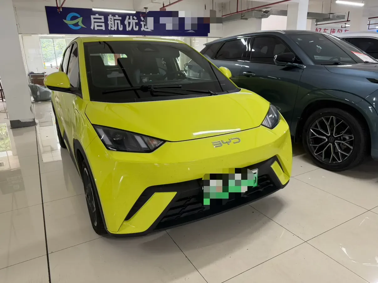 BYD seagull
