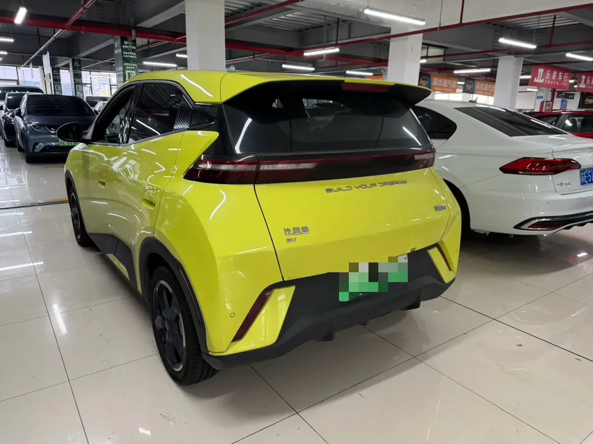 BYD seagull