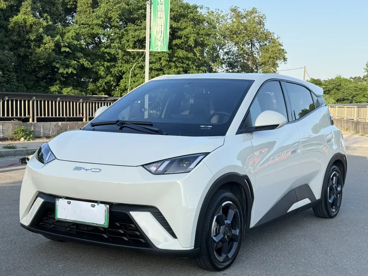 BYD seagull