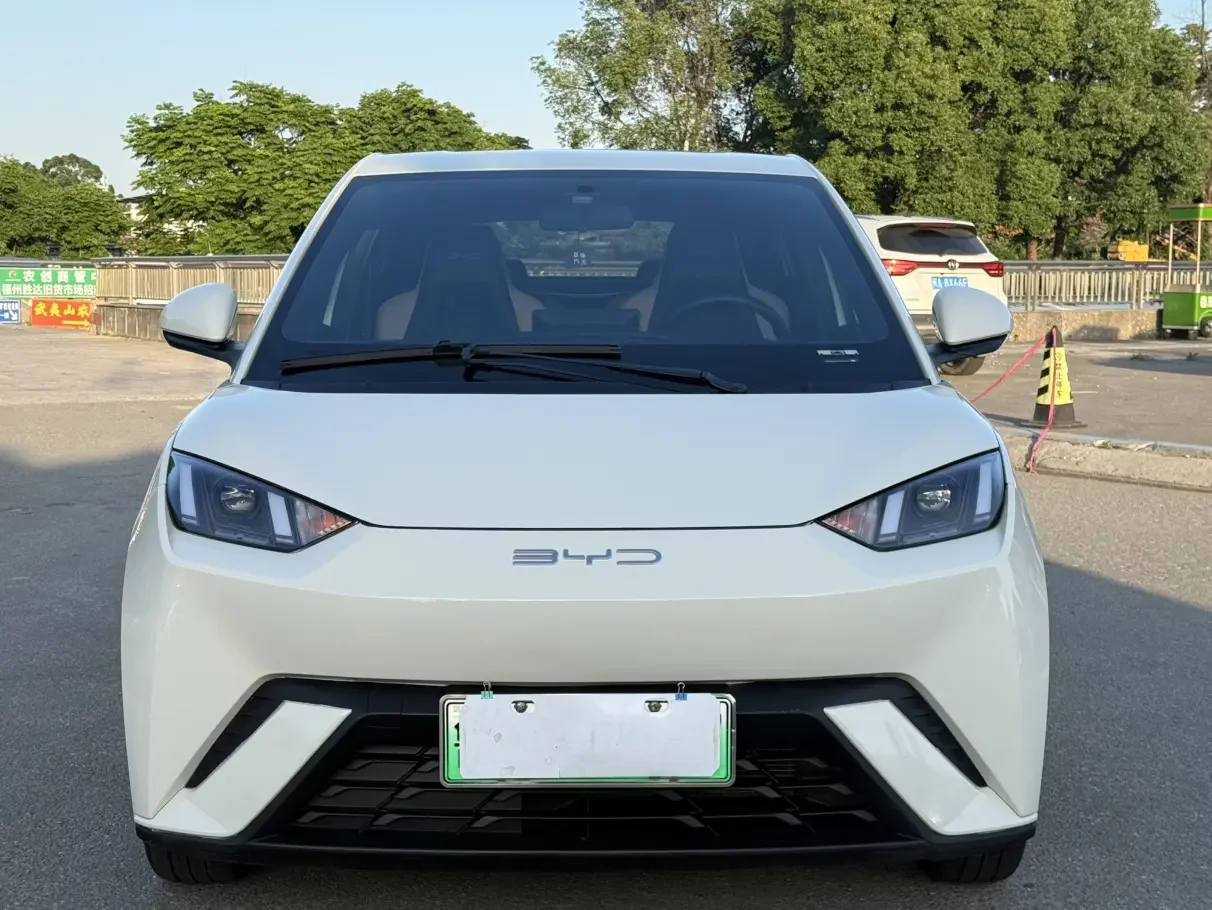 BYD seagull
