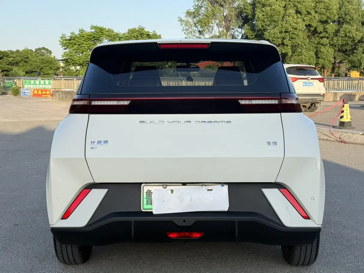 BYD seagull