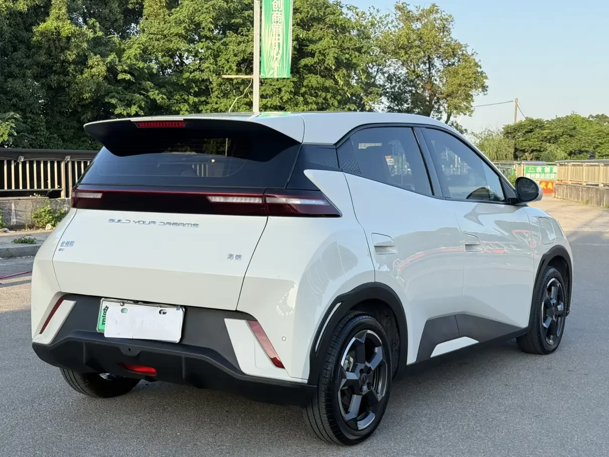 BYD seagull