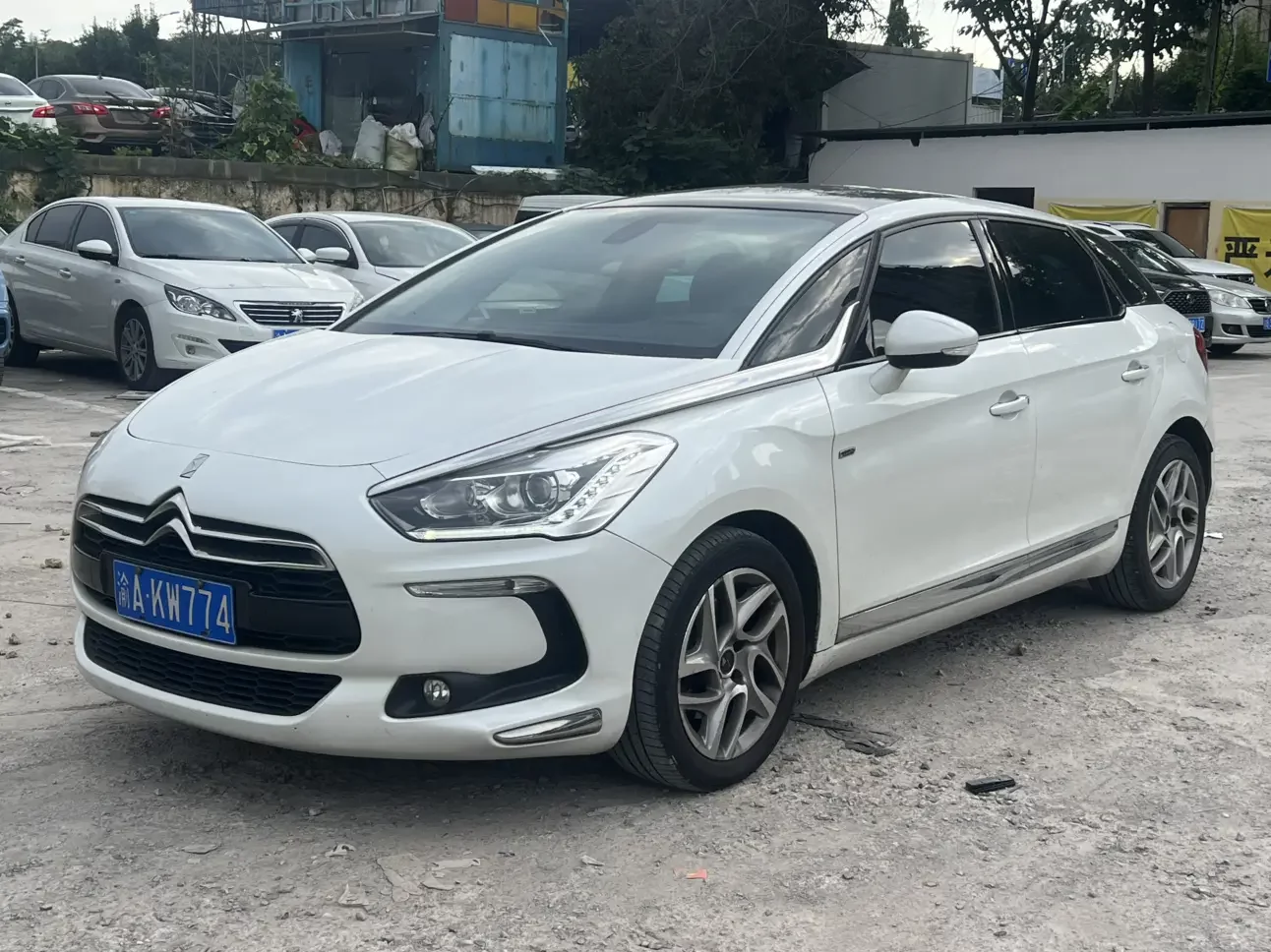 DS 5