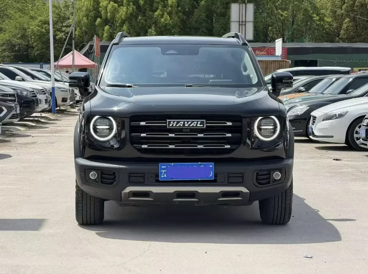 Haval Dargo