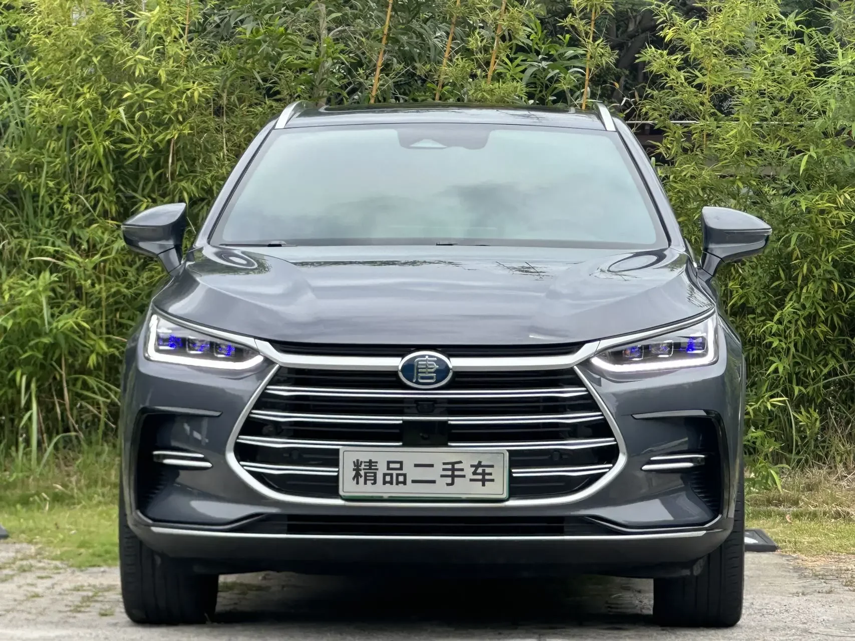BYD Tang DM