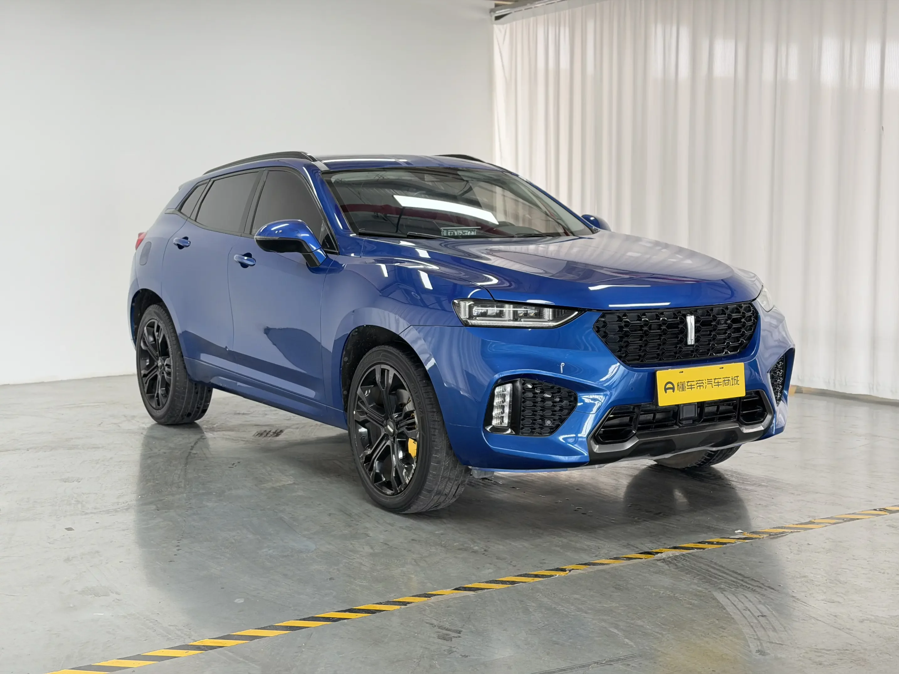Wey Wei brand VV7