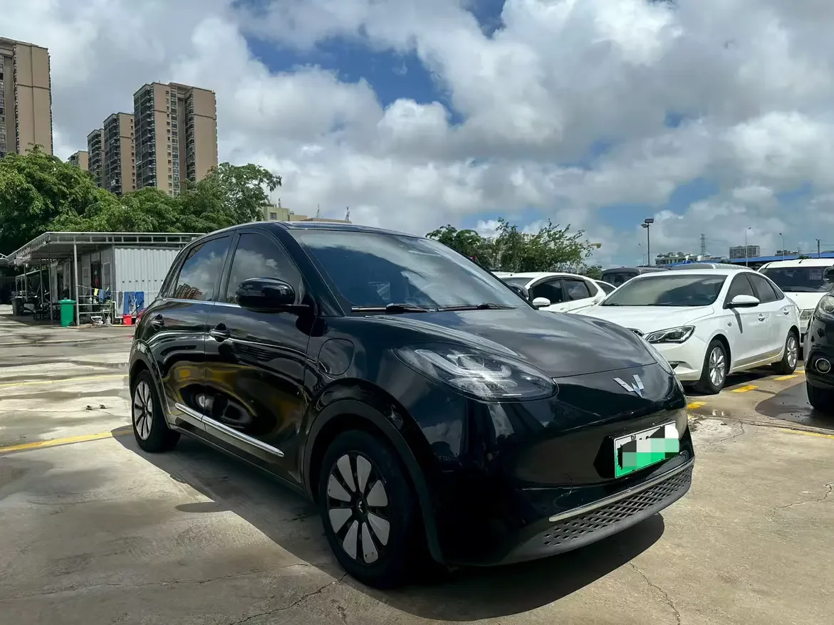 Wuling Bingo
