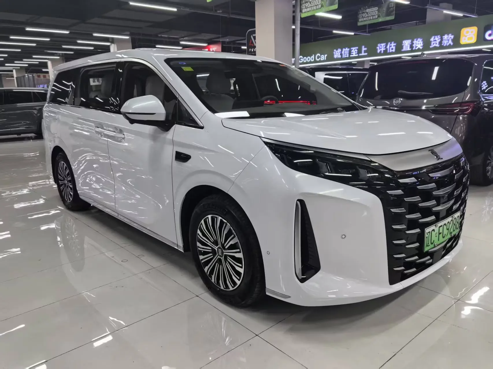 BYD summer